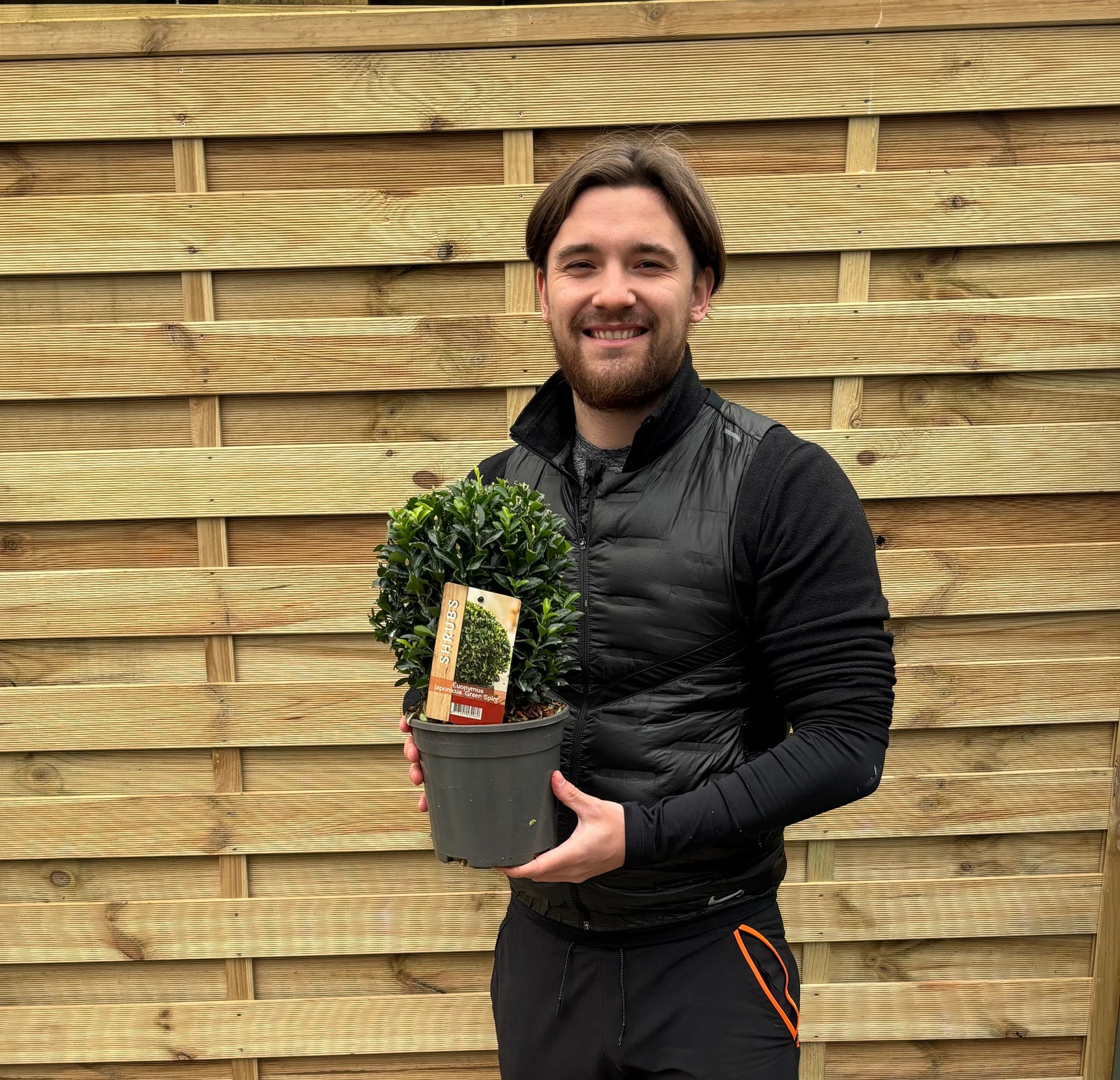 A smiling man in a black jacket holds a Euonymus japonicus Ball 'Green Spire' 2L, its lush green foliage perfect for adding interest to garden borders, standing before a wooden fence.