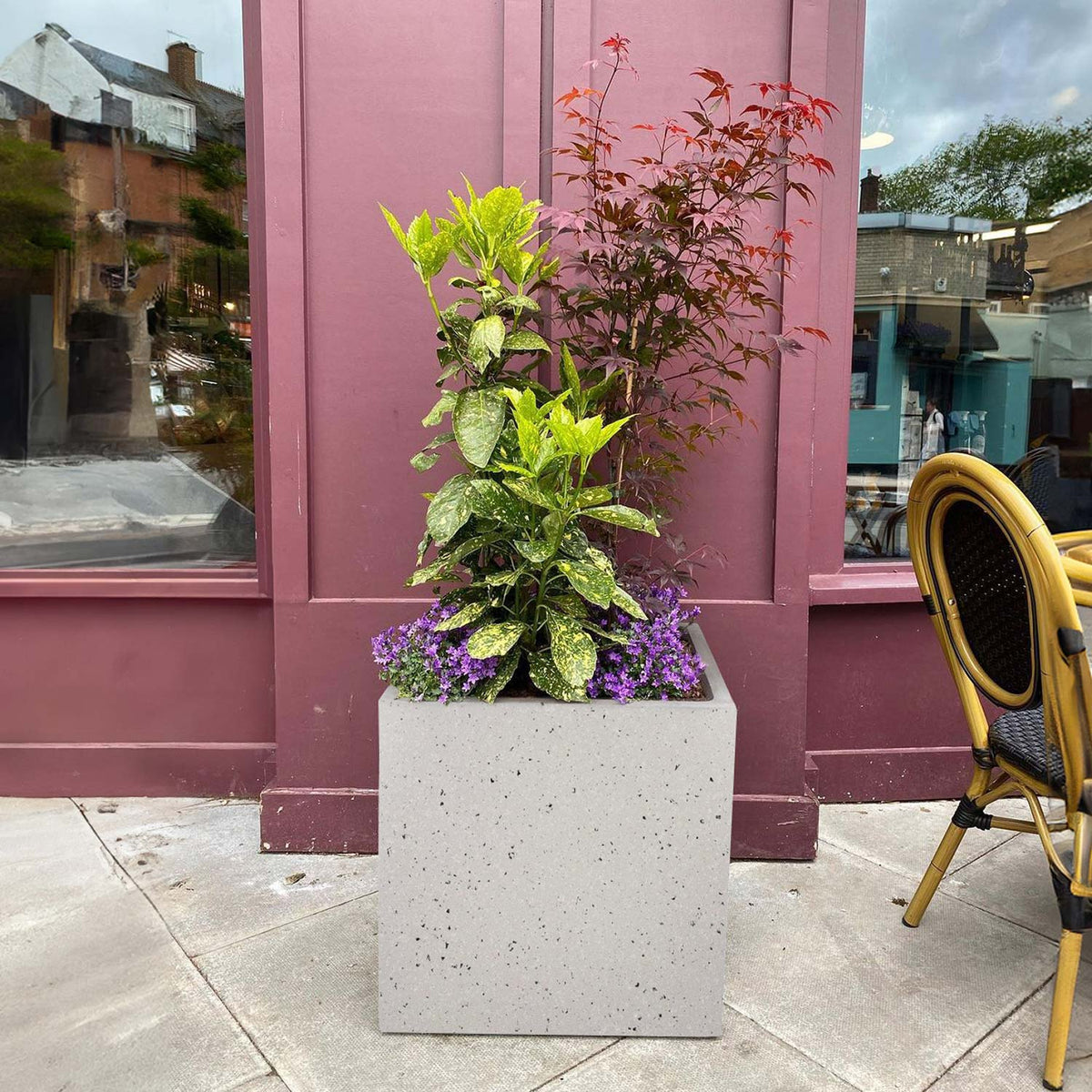 An IDEALIST Lite Contemporary Flower Box Square Garden Planter (30x30x30 cm, light concrete, 28L) with green and red plants and purple flowers stands on a sidewalk before a maroon shop window; part of a wicker chair appears on the right.