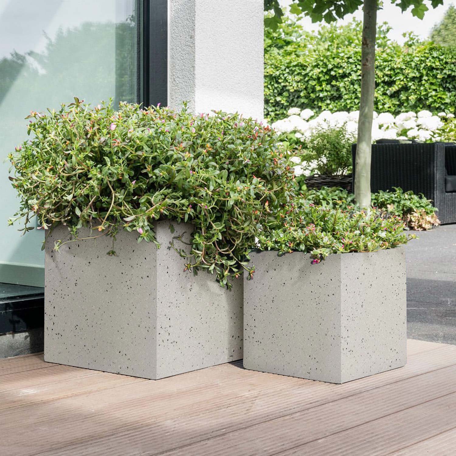 The IDEALIST Lite Contemporary Flower Box Square Garden Planter, Light Concrete, 30x30x30cm, 28L, sits on a wooden deck by a glass door with green plants inside; outdoor greenery and a black bench frame these stylish, frost-proof pots.