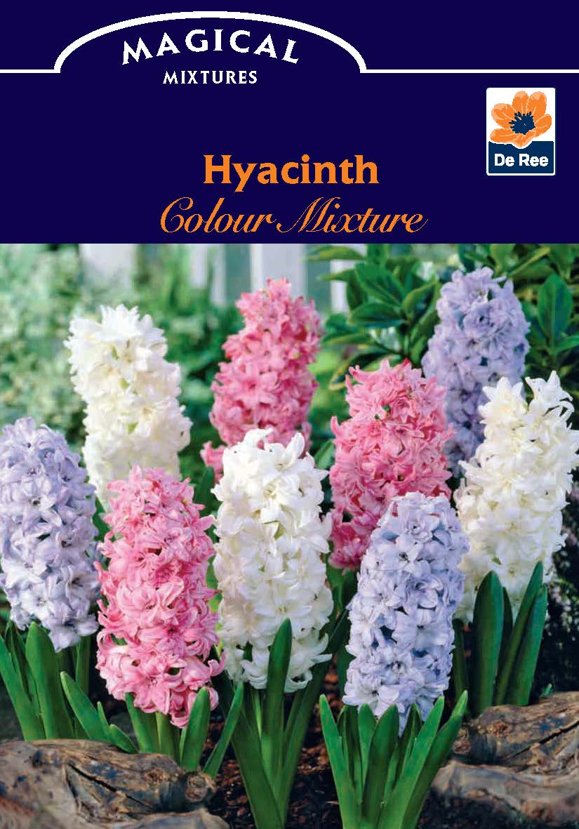 A garden bed of pastel pink, purple, and white hyacinths blooms amid green leaves. The &quot;Hyacinth Mixed (3 Bulbs)&quot; pack is perfect for spring flower lovers, featuring beautiful colors and the De Ree logo in the corner.