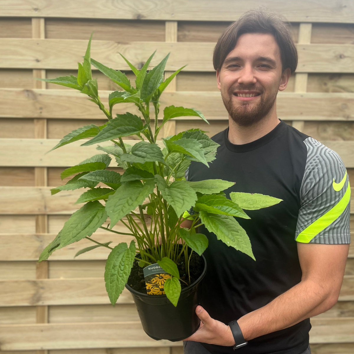 A smiling man in a black sports shirt holds a Rudbeckia fulgida Goldstrum 9cm-2L, a cheerful perennial, in front of a wooden fence background.