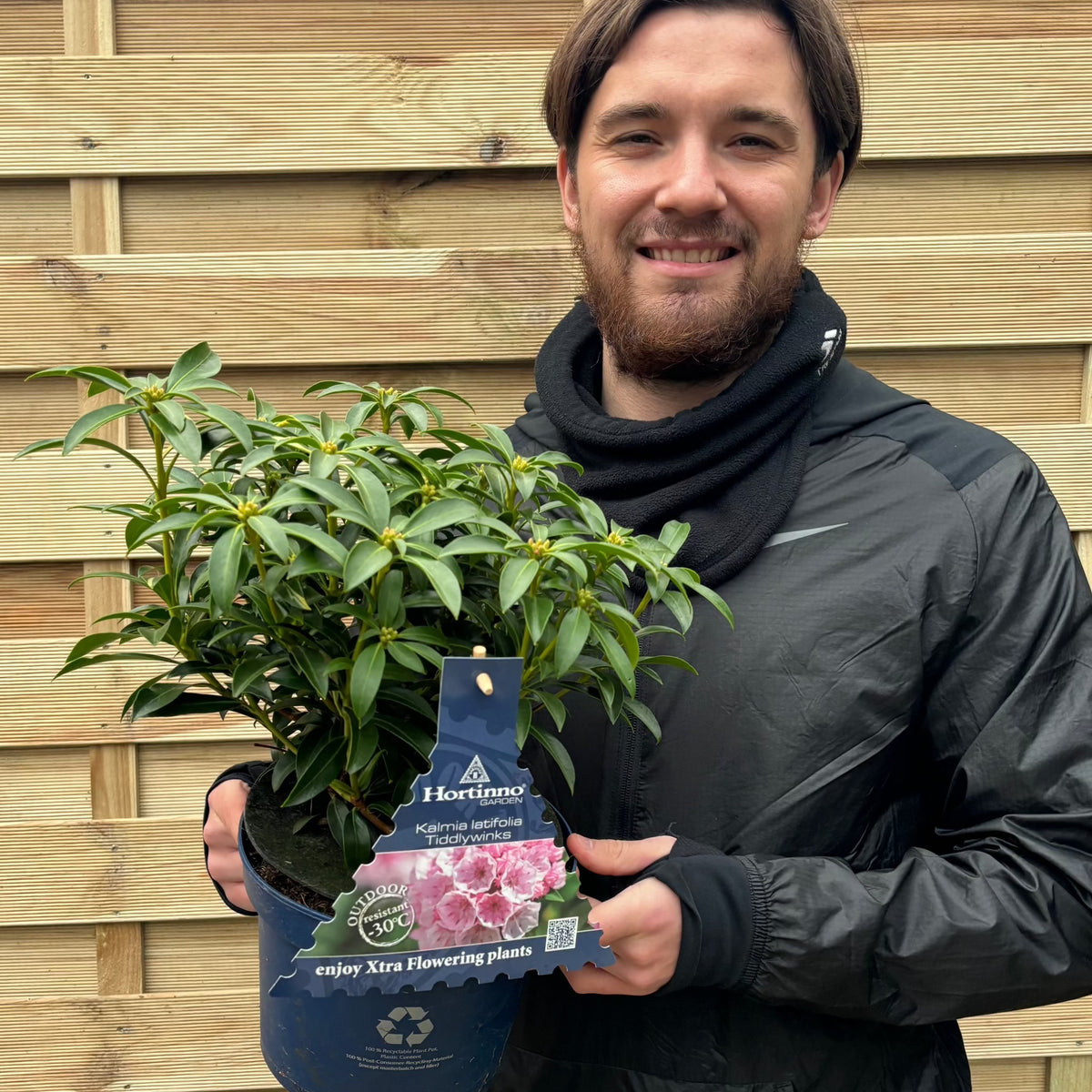 A smiling man with short brown hair and a beard holds a potted Kalmia latifolia &#39;Tiddlywinks&#39; 3L beside a wooden fence. The plant label shows pink blossoms and promotes flowering plants for your small garden.