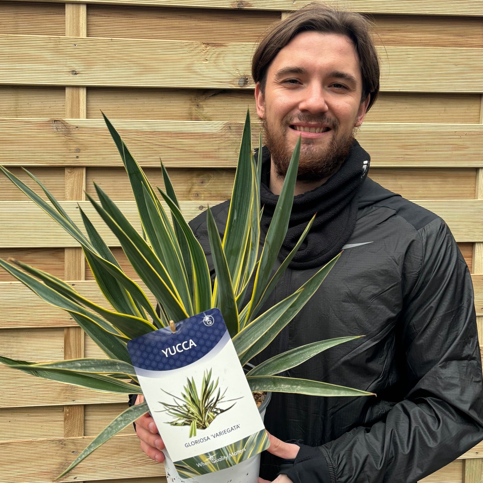 A smiling man with dark hair and a beard holds a Yucca 'Gloriosa' Variegata (9cm/3L/7.5L), an evergreen shrub with striking green and yellow striped leaves, standing before a wooden fence in a black jacket and scarf.