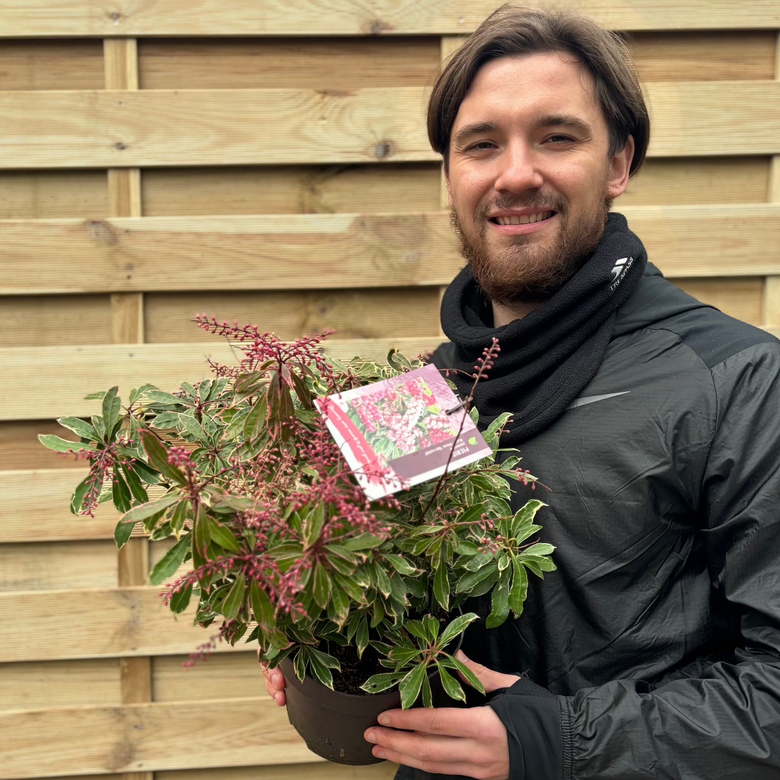 A man with brown hair and a beard smiles while holding a green potted Pieris japonica Ralto Rose 2L, an evergreen shrub with red budding flowers. He stands in front of a wooden fence, wearing a black jacket and scarf.