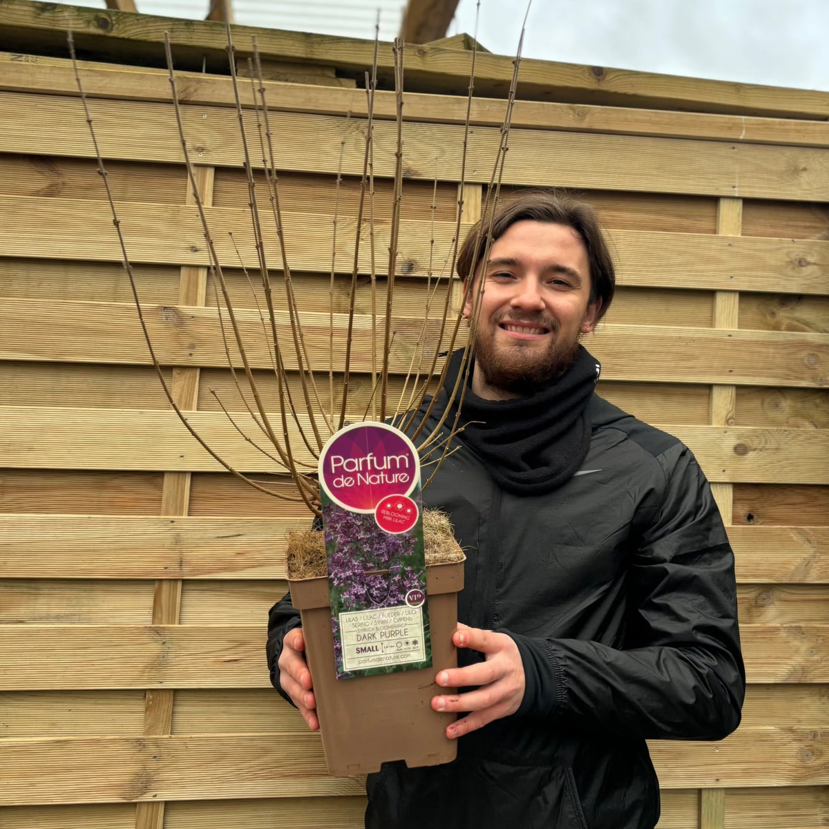 A smiling person in a black jacket holds a bare Syringa Bloomerang Purple (Reblooming Lilac) 3L/7.5L, with several thin leafless branches, in front of a wooden fence.