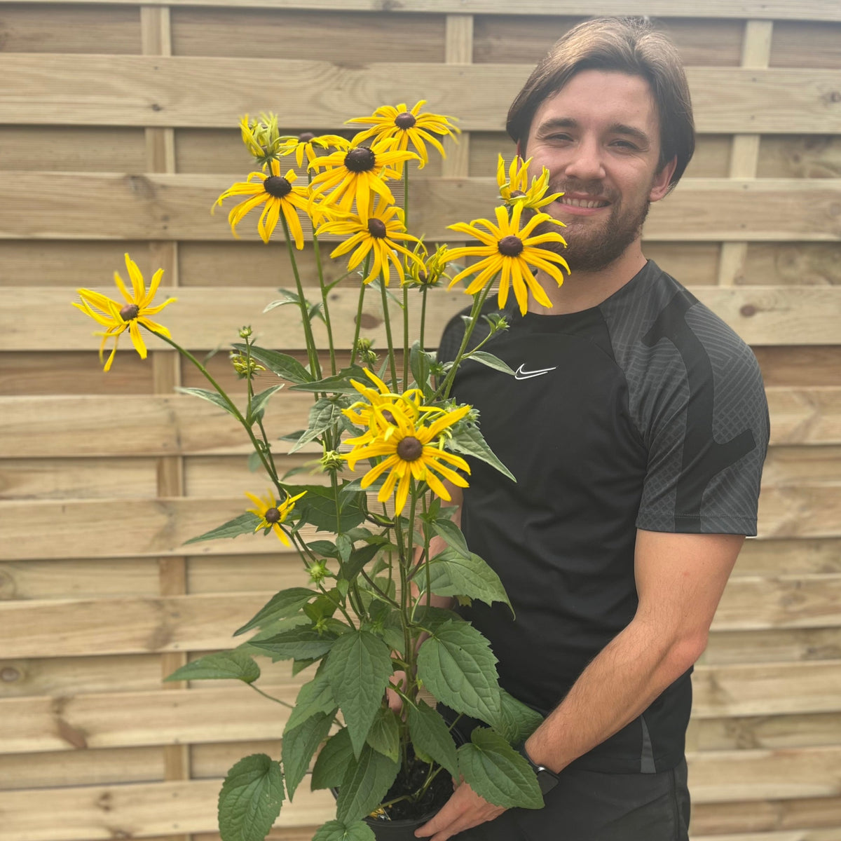 A brown-haired, bearded person in a black athletic shirt smiles while holding a Rudbeckia fulgida Goldstrum 9cm-2L plant, standing by a wooden fence.
