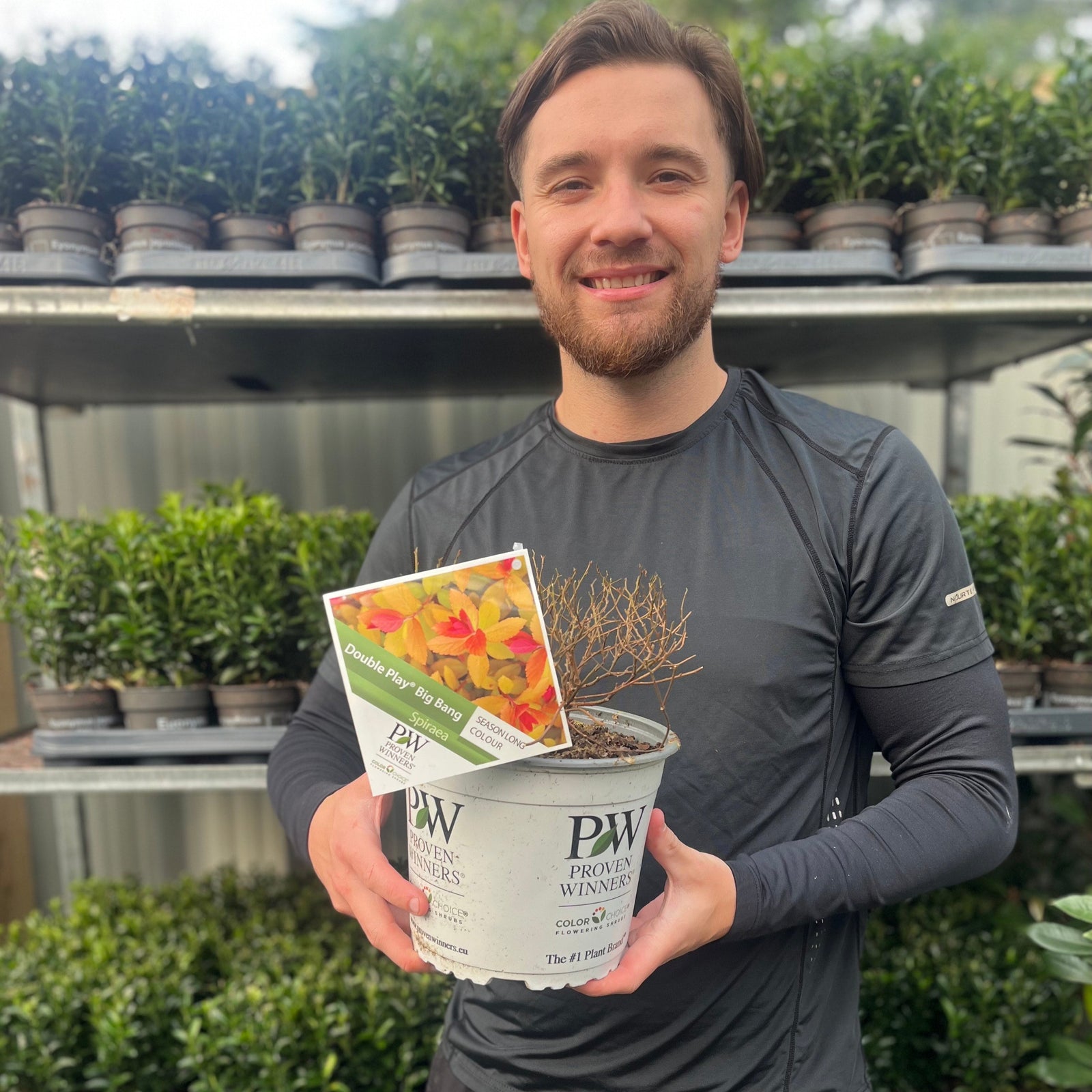 A smiling person in a black shirt holds a Spiraea Double Play 'Big Bang' 3L pot labeled PW Proven Winners, standing in front of shelves lined with compact shrubs and small green potted plants.