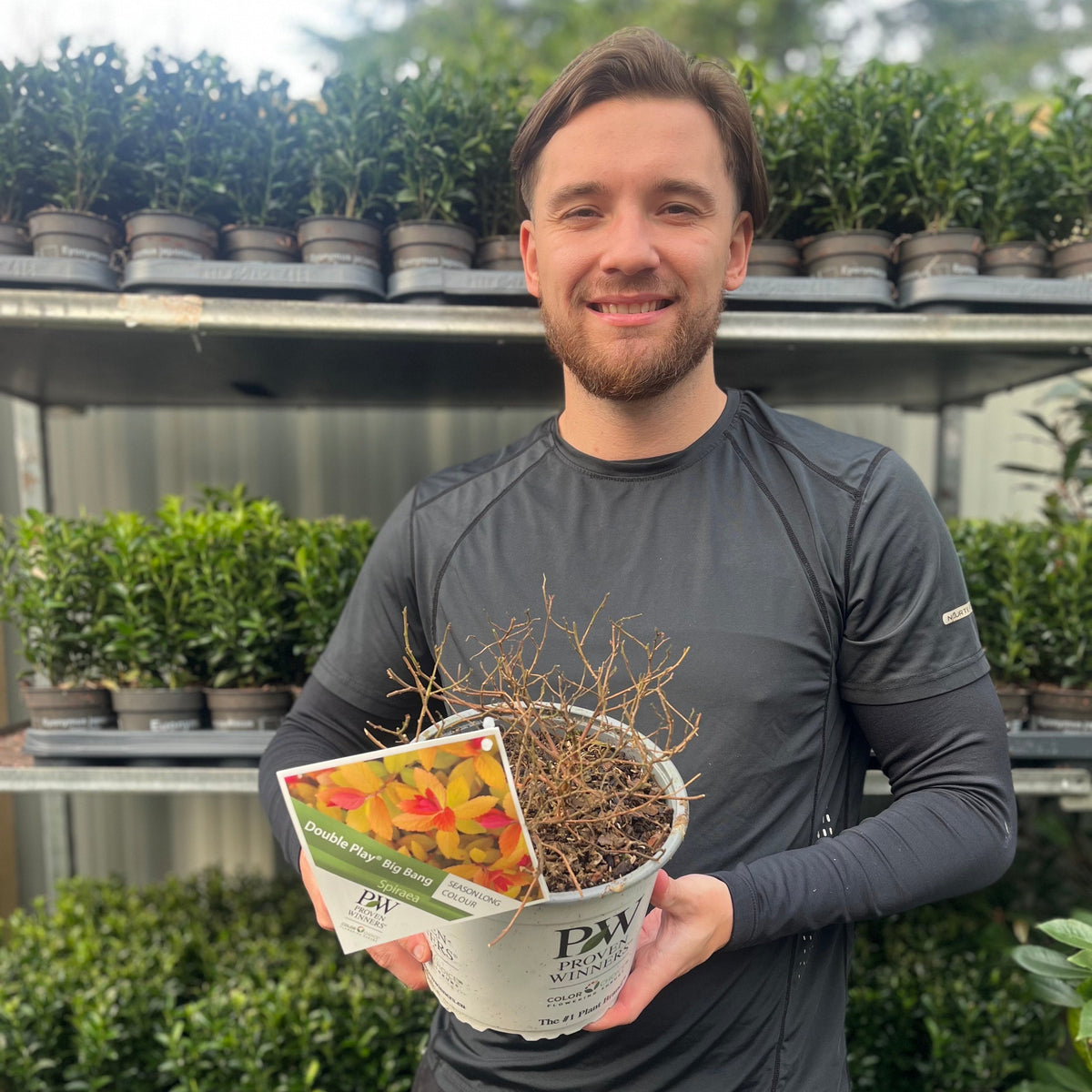 A smiling man in a black shirt holds a Spiraea Double Play &#39;Big Bang&#39; 3L, a compact shrub with pink blooms, standing before shelves of leafy potted plants at an outdoor garden center.