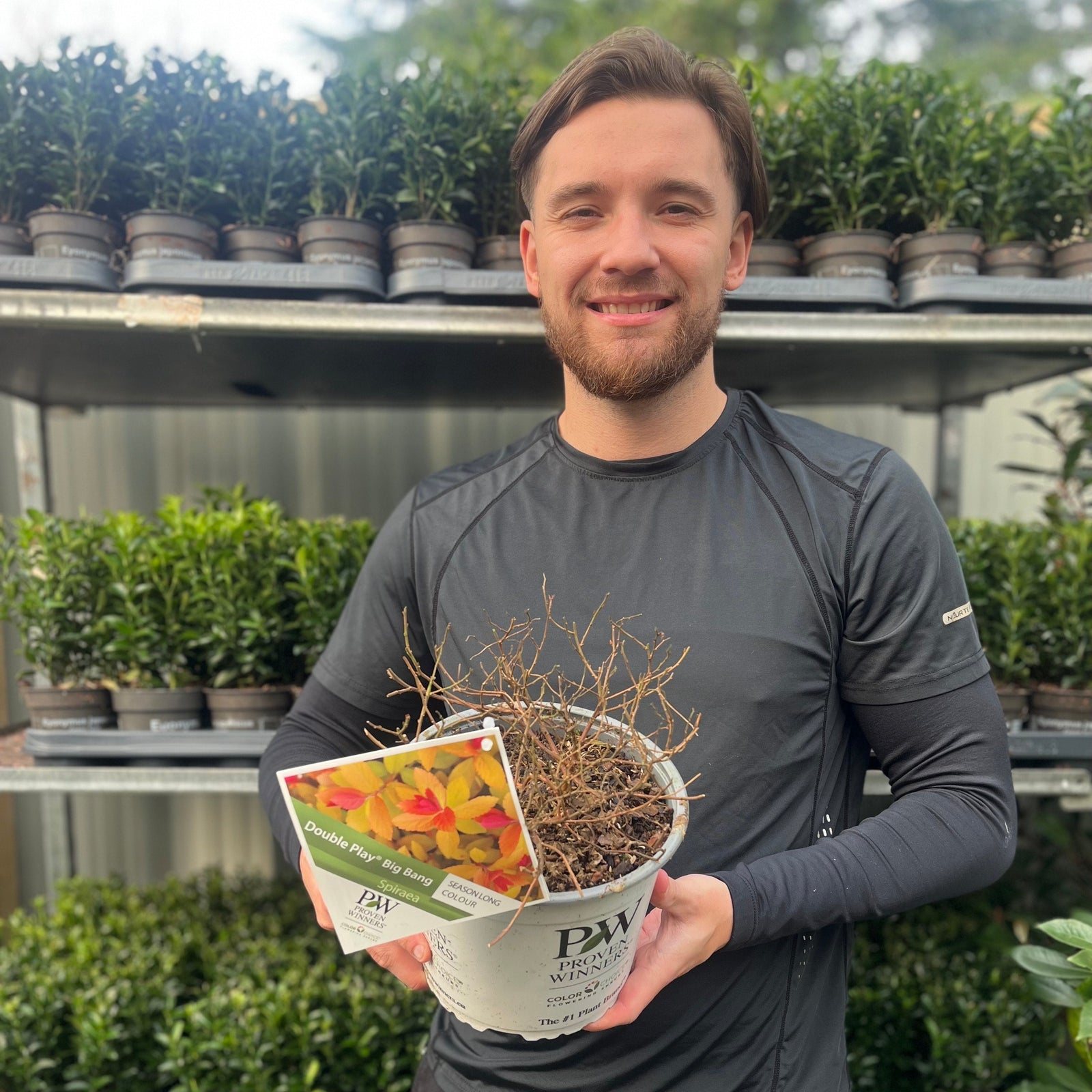A smiling person in a black shirt holds a Spiraea Double Play 'Big Bang' 3L pot labeled PW Proven Winners, standing in front of shelves lined with compact shrubs and small green potted plants.