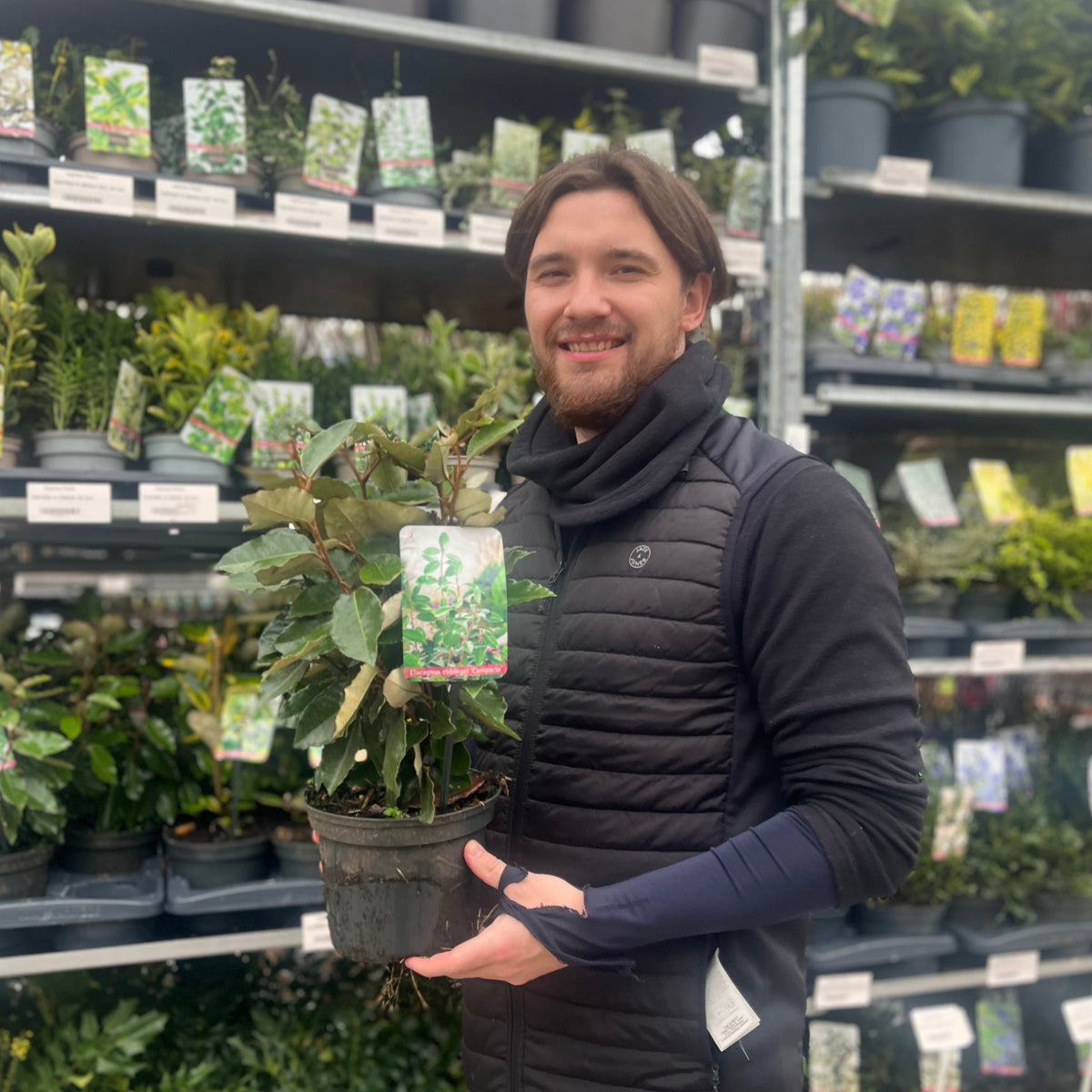 A smiling man in a black jacket holds an Elaeagnus x ebbingei Compacta (Multibuy Offers Available) at a garden center, surrounded by shelves with green plants, labeled pots, and different hedge options.