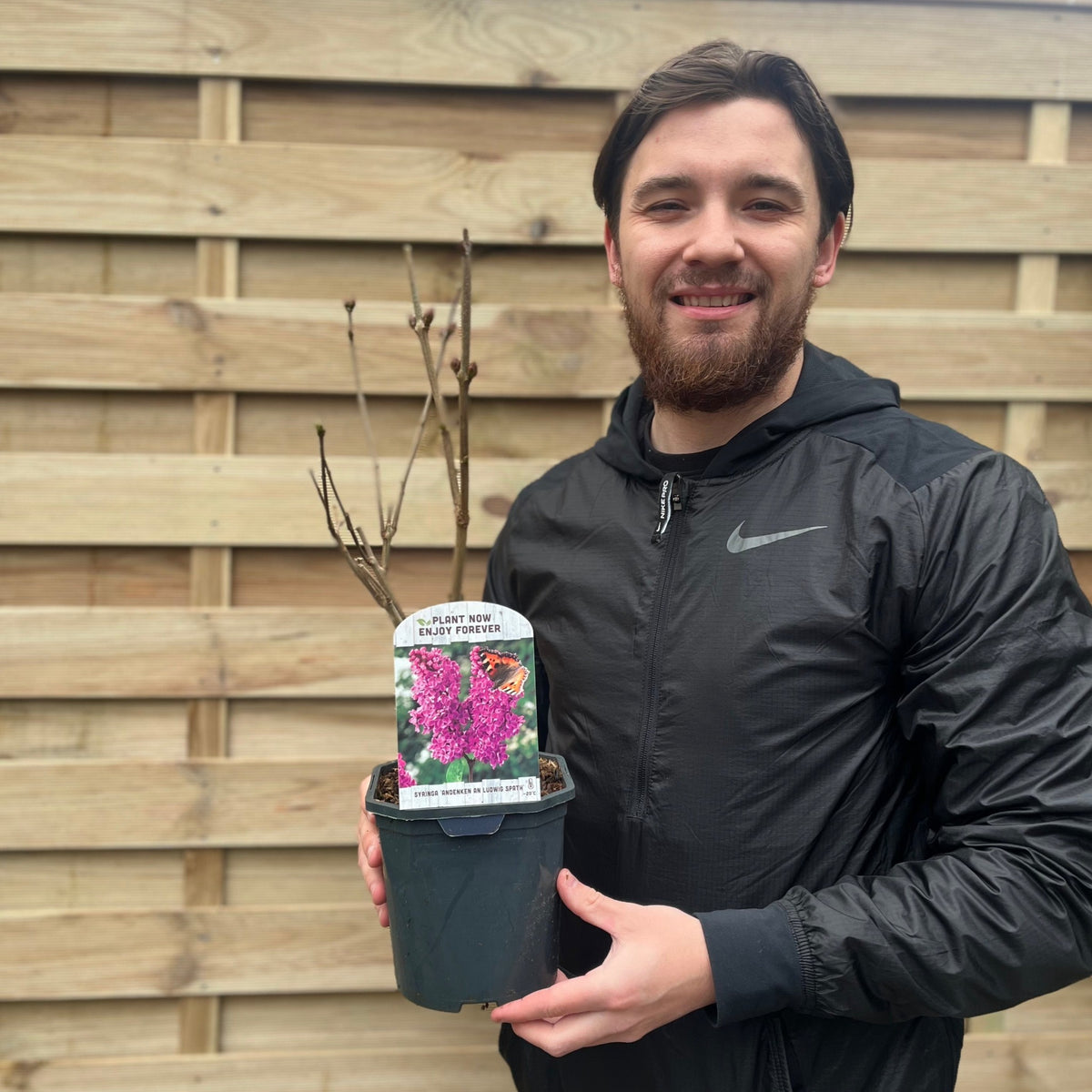 A man in a black Nike jacket stands outside by a wooden fence, smiling as he holds a Syringa vulgaris &#39;Andenken an Ludwig Spath&#39; 2L with a label showing vibrant pink flowers and the phrase &quot;Plant now, enjoy forever.