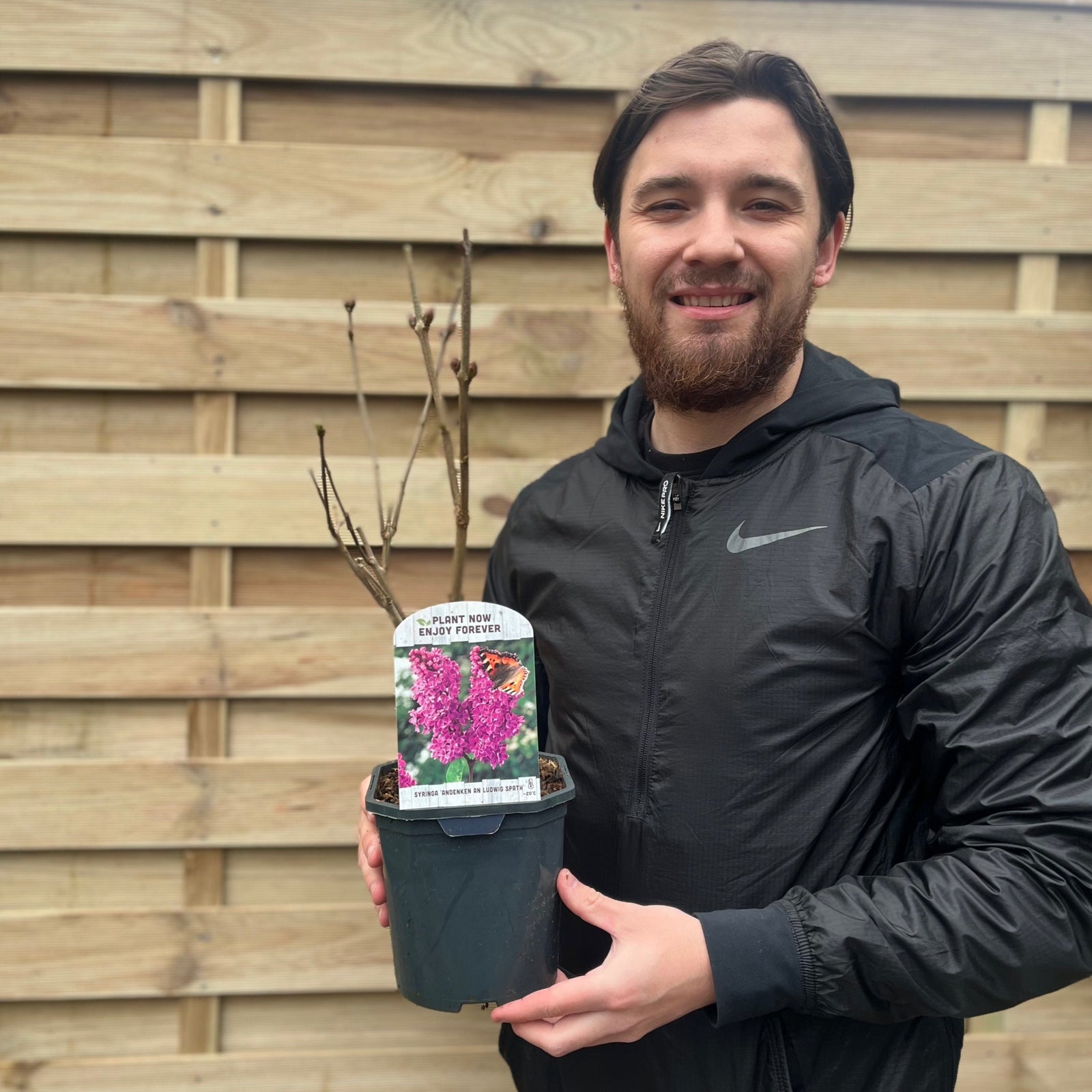 A man in a black Nike jacket stands outside by a wooden fence, smiling as he holds a Syringa vulgaris 'Andenken an Ludwig Spath' 2L with a label showing vibrant pink flowers and the phrase "Plant now, enjoy forever.
