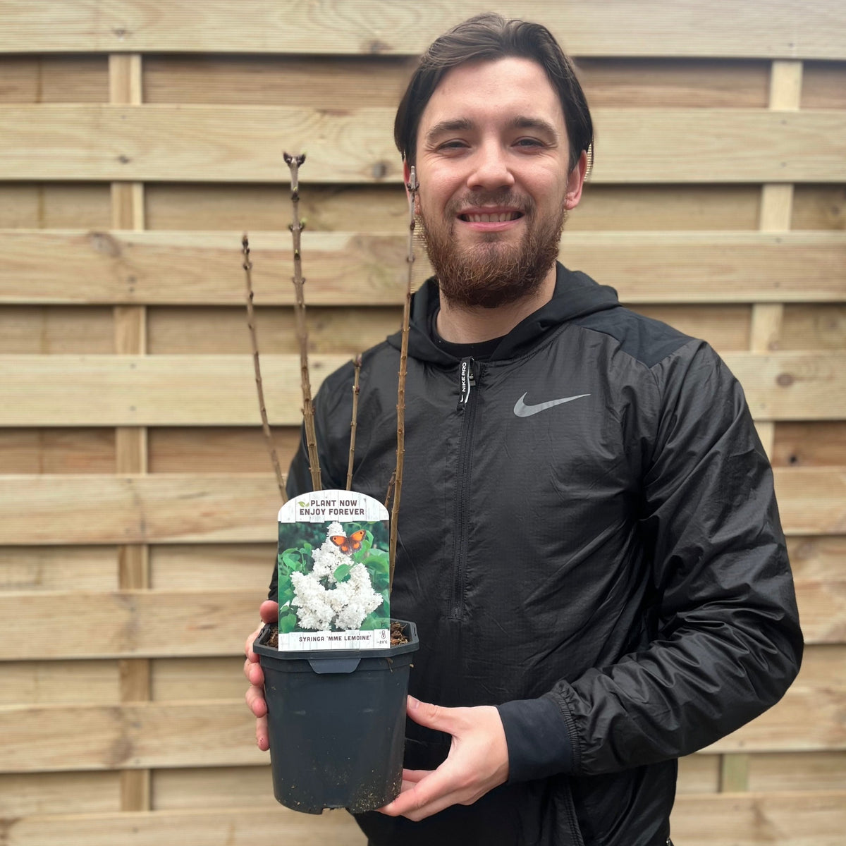 A man in a black jacket smiles while holding a Syringa vulgaris &#39;Madame Lemoine&#39; (Common Lilac) 2L with bare stems. The pot label shows white blossoms and a butterfly, with a wooden fence in the background.