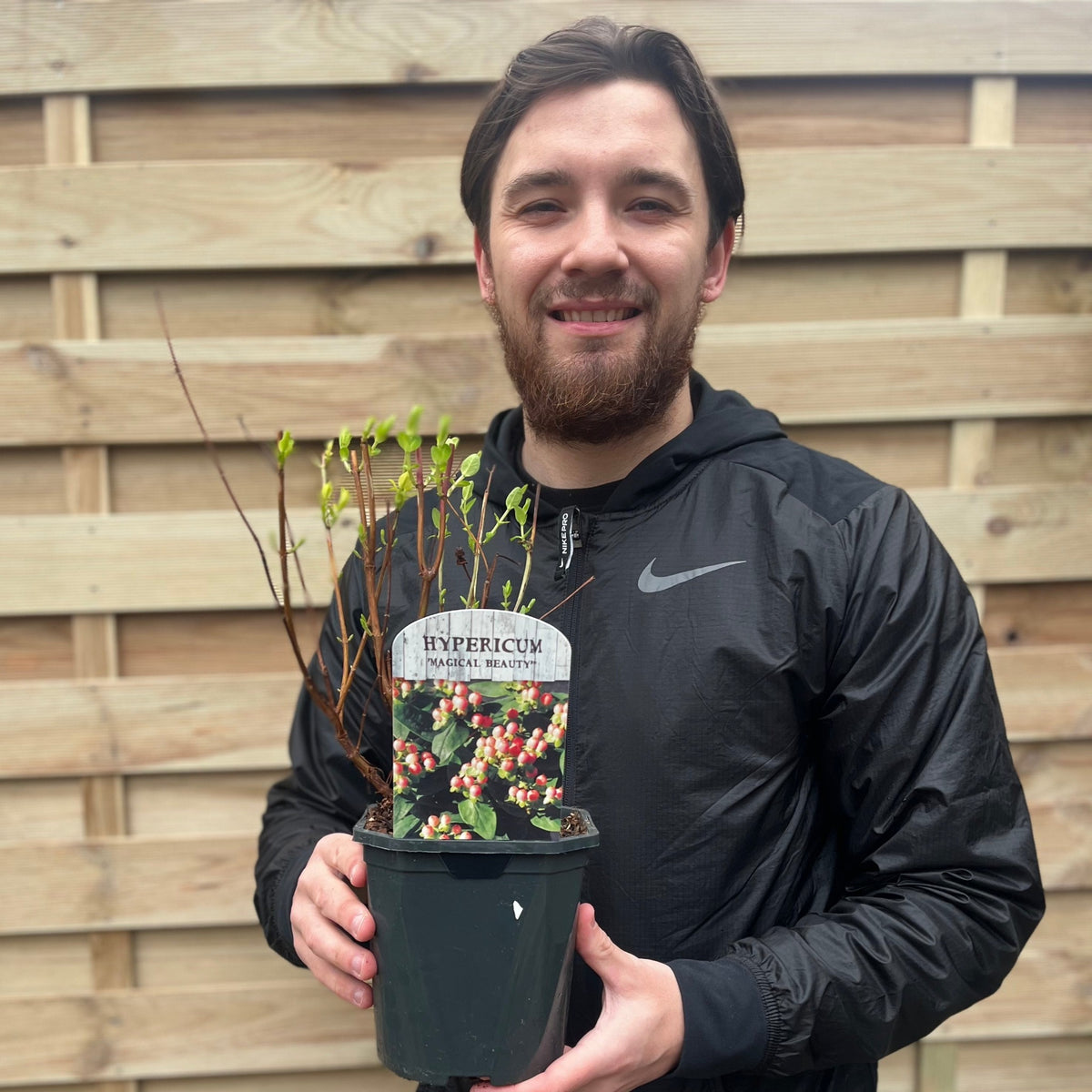 A man in a black jacket smiles while holding a Hypericum &#39;Magical Beauty&#39; 2L, a hardy plant with yellow flowers, in front of a wooden fence.