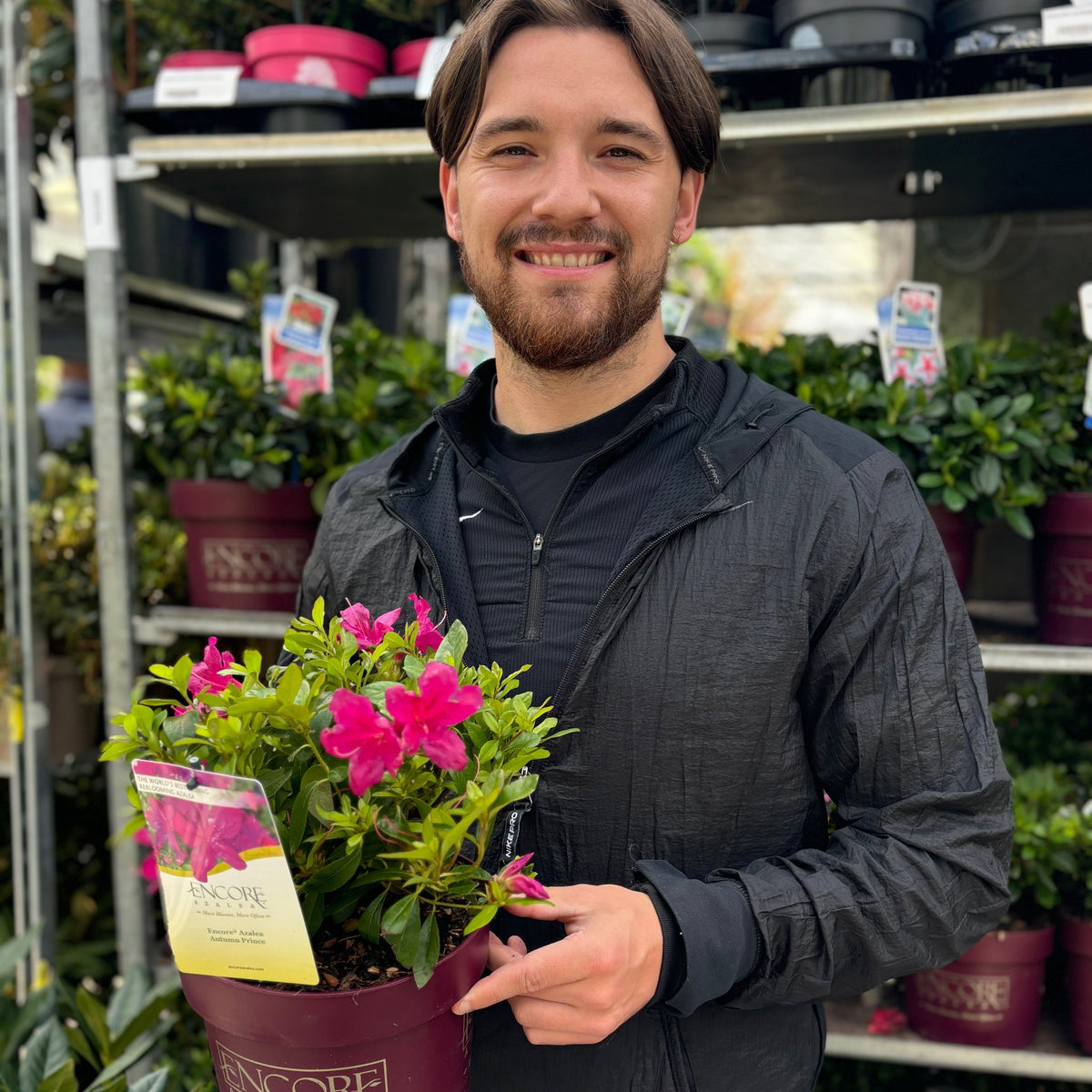 A smiling man with brown hair and a beard holds a 3L Azalea Encore &#39;Autumn Majesty&#39; in a garden center, surrounded by rows of potted flowers and evergreen shrubs that promise vibrant blooms later in the season.