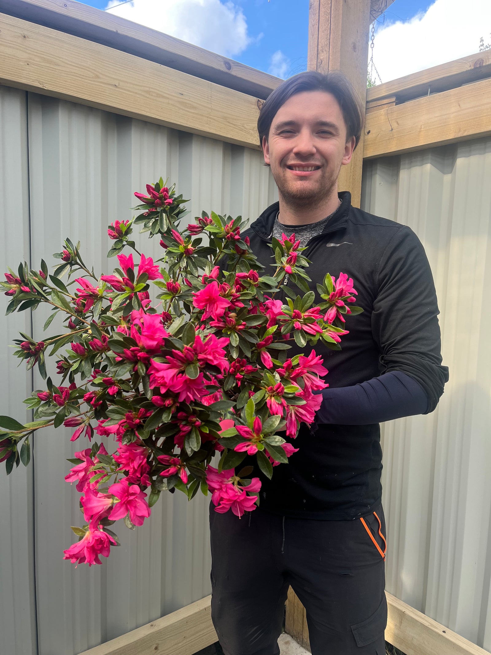 A smiling person in a black top holds a large bouquet of Azalea japonica 'Rosa' 2L, featuring vibrant pink flowers, while standing in front of a gray corrugated metal wall and wooden beams.