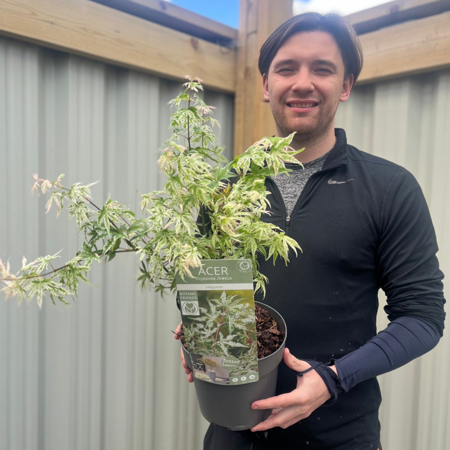 A person with brown hair smiles while holding an Acer palmatum 'Ukigumo' 3L in a garden with wooden beams and corrugated metal walls in the background.