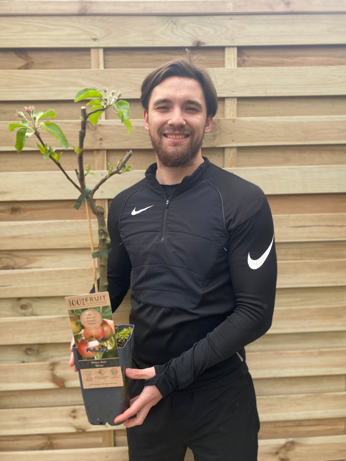 A smiling man in a black Nike tracksuit stands by a wooden fence, holding a Dwarf/Patio Apple Tree &#39;Elstar&#39; (two sizes available) with small leaves and blossoms—ideal for growing dessert apples at home.