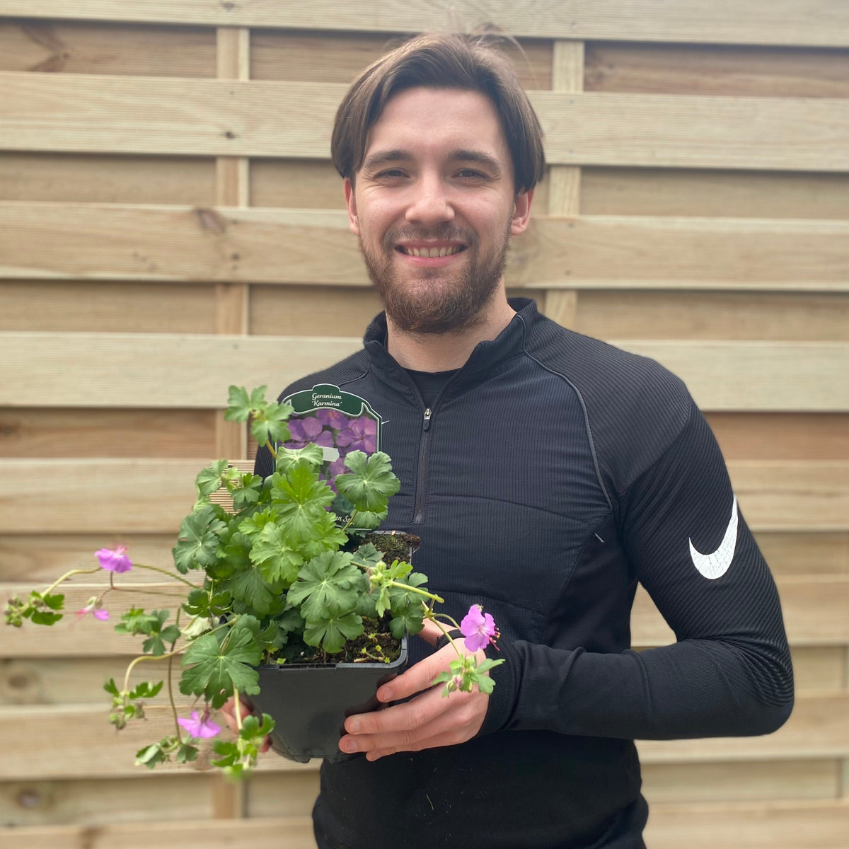 A smiling man with brown hair and a beard, in a black Nike jacket, holds a potted Geranium &#39;Karmina&#39; 9cm / 2L with magenta-pink blooms. A wooden fence is visible in the background.