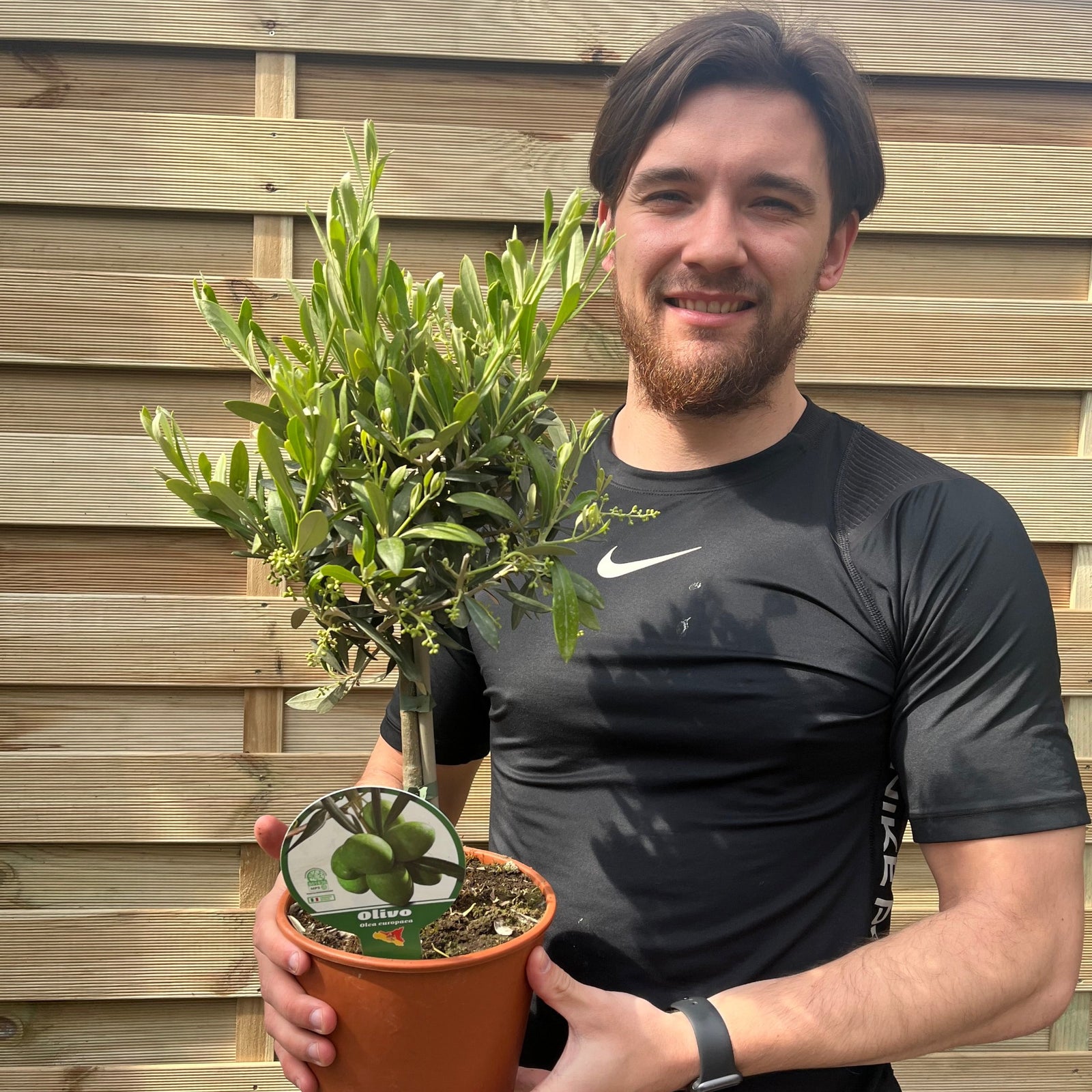A man with brown hair and a beard, wearing a black Nike shirt, smiles while holding the Olive Tree | Hardy Evergreen Potted Tree | 50-60cm in front of a wooden fence.