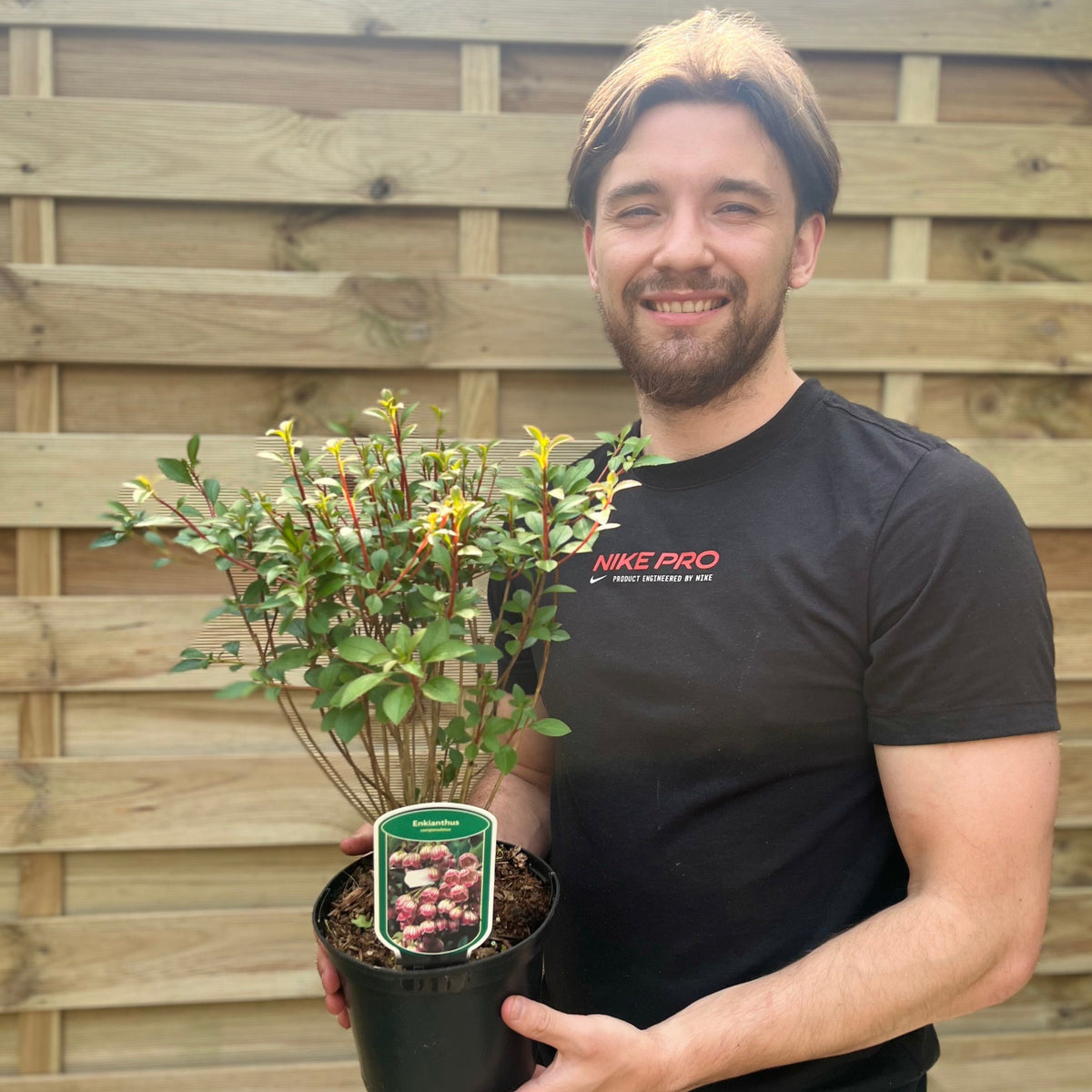 A smiling man with brown hair and a beard holds an Enkianthus campanulatus 2L potted shrub in front of a wooden fence. The label features berries, and he wears a black Nike Pro t-shirt.