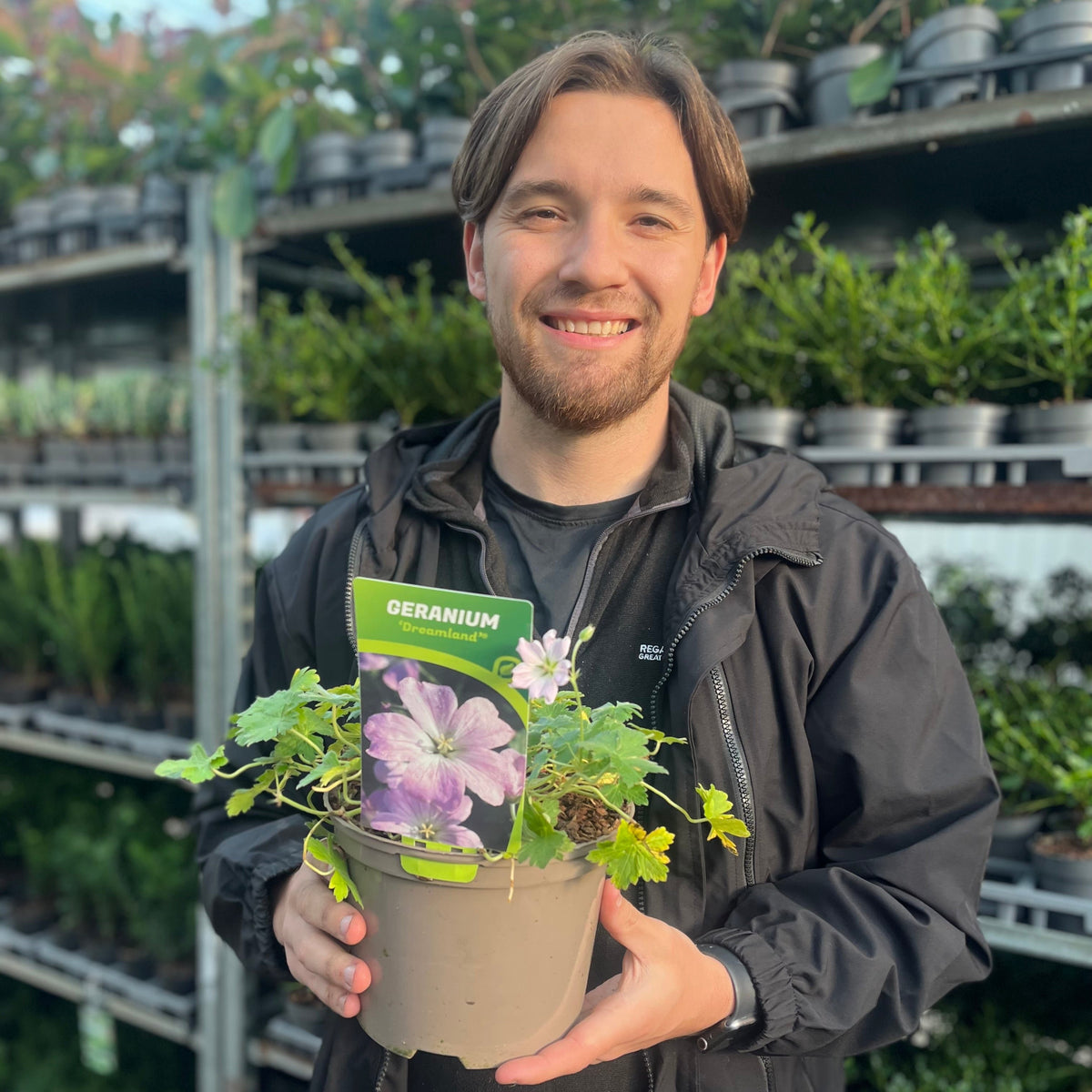 A bearded man with brown hair smiles as he holds a Geranium &#39;Dreamland&#39; 9cm/2L plant, standing in a nursery filled with lush perennials and rows of potted plants on metal racks.
