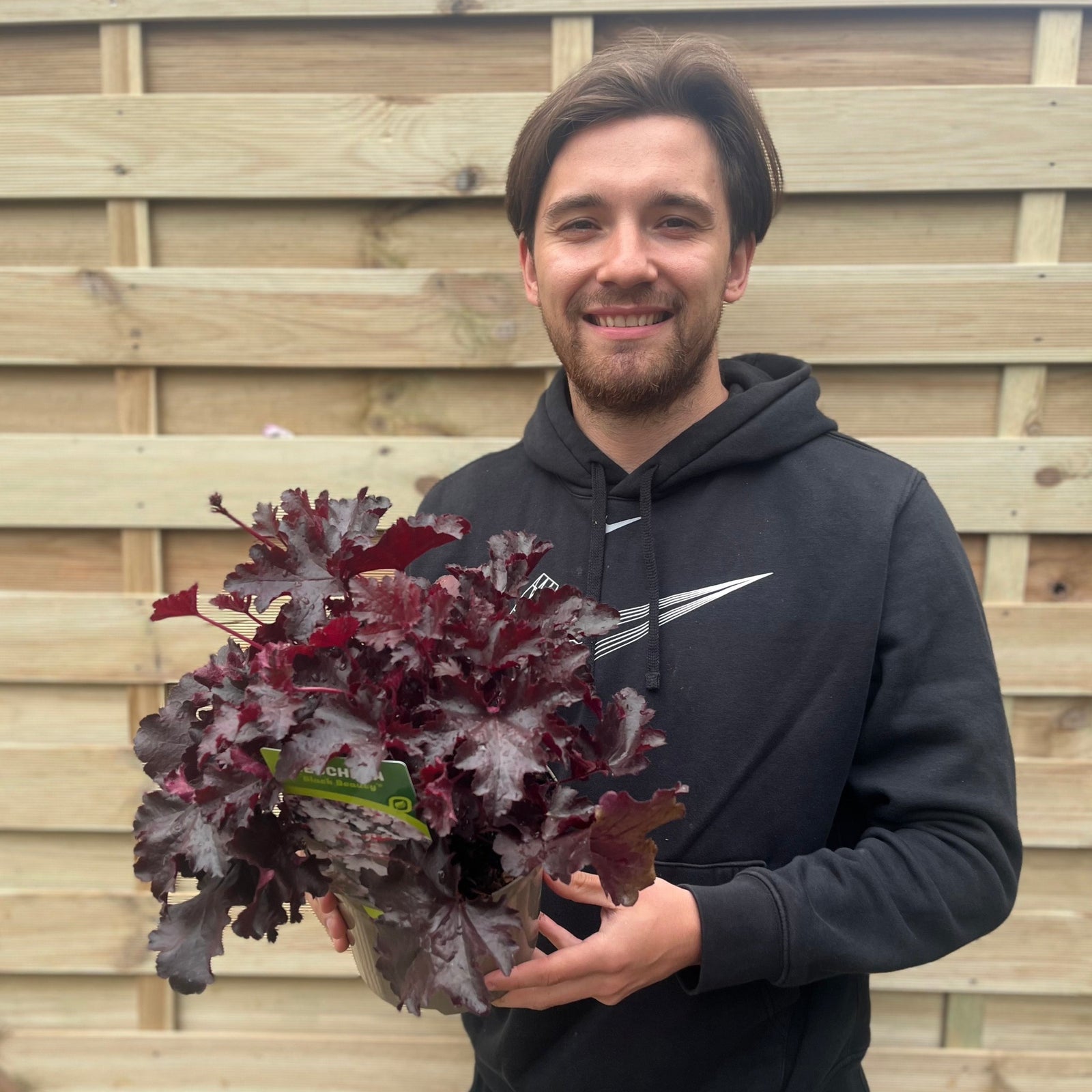 A smiling person in a black hoodie holds a Heuchera 'Black Beauty' 2L, a shade-loving perennial with striking foliage, standing in front of a wooden fence.