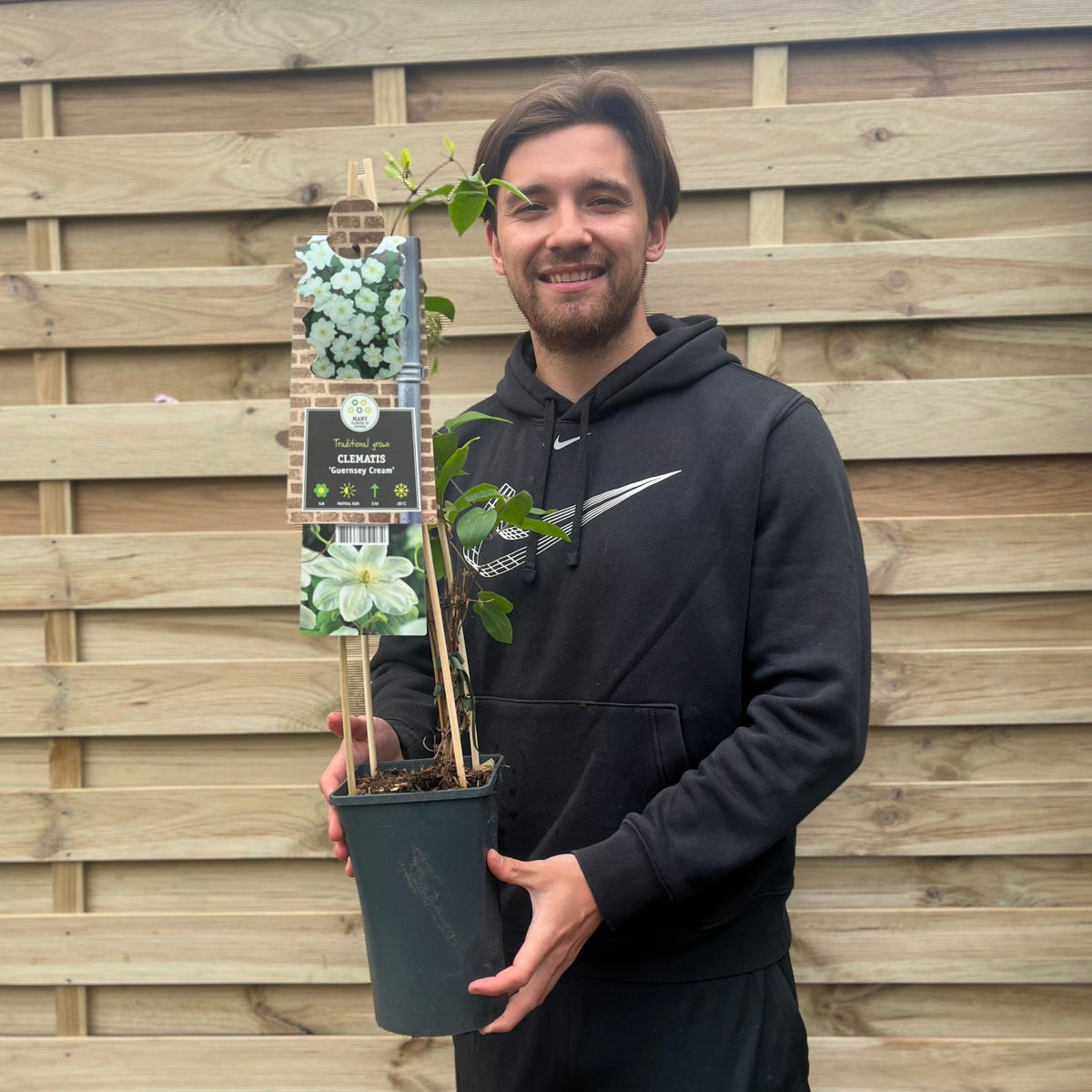 A smiling man in a black Nike hoodie holds a potted Clematis &#39;Guernsey Cream&#39; 70cm in front of a wooden fence.