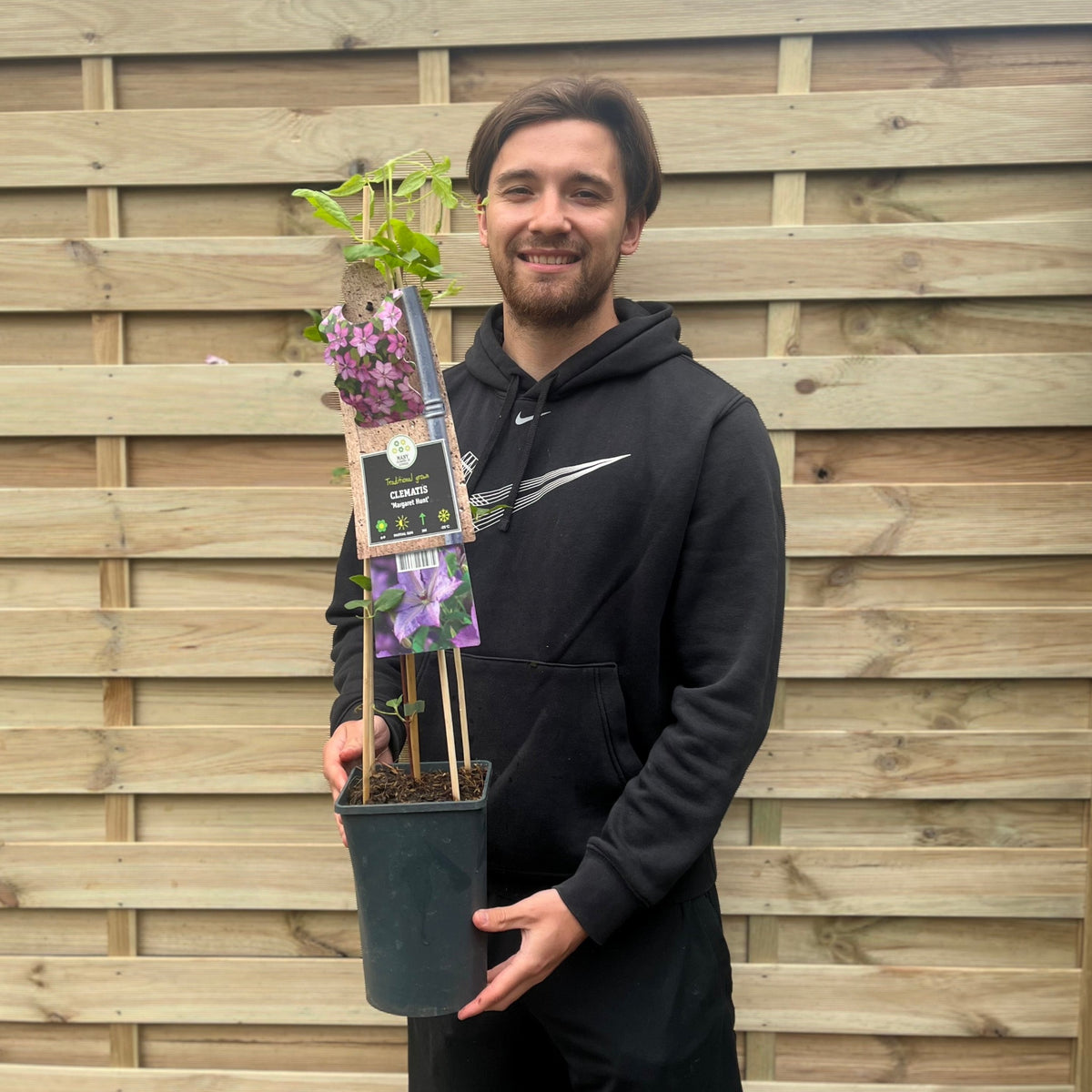 Clematis &#39;Maragret Hunt&#39; 70cm