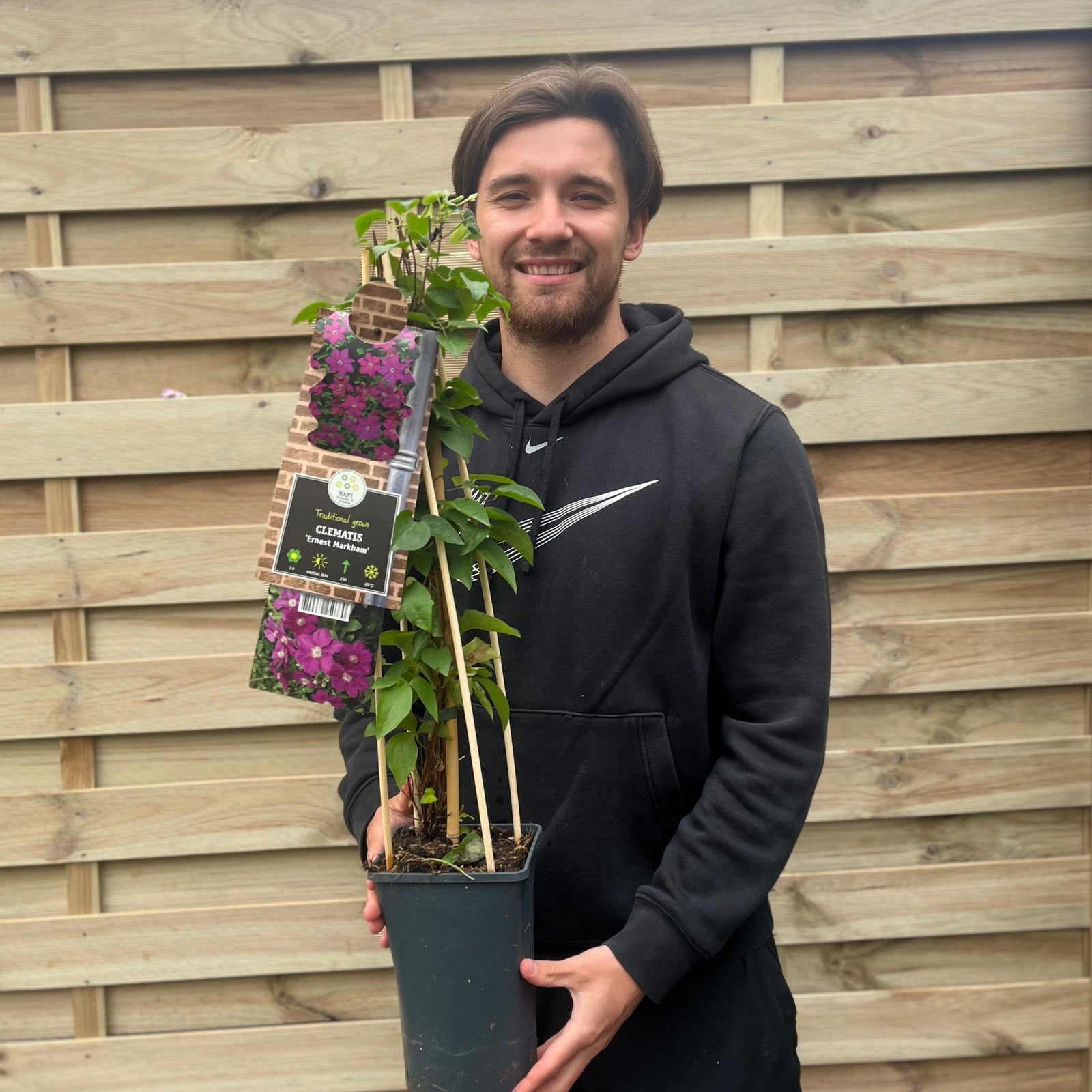 A smiling man in a black hoodie stands by a wooden fence, holding a potted Clematis 'Ernest Markham' 70cm, a flowering climber known for its stunning purple blooms in early summer.
