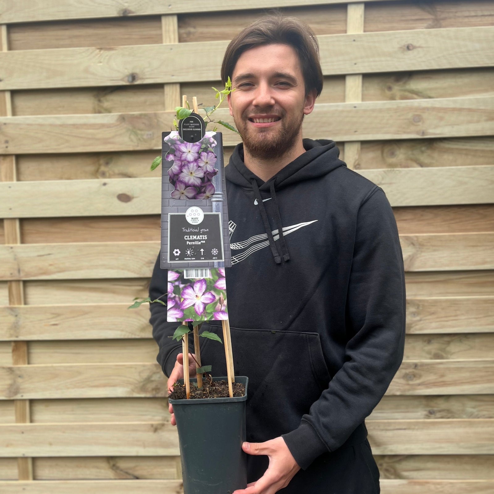 A smiling man in a black hoodie stands by a wooden fence, holding a potted Clematis viticella 'Pernille' 70cm with purple flowers and a label attached.