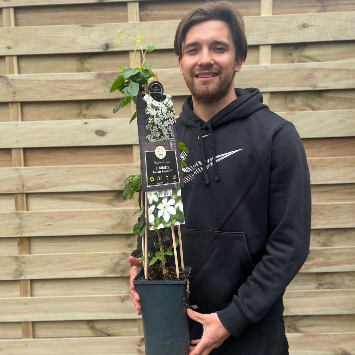 Clematis &#39;Forever Friends&#39; 70cm