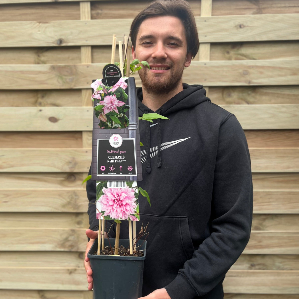 A smiling person in a black hoodie holds Clematis &#39;Multi Pink&#39; 70cm, a deciduous climber with large double pink blooms, in front of a wooden fence. The plant’s label shows images of its early summer flowers.