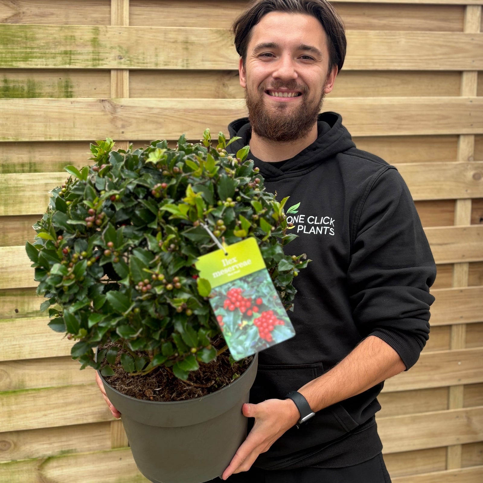 Man holding a potted plant with a wooden fence background
