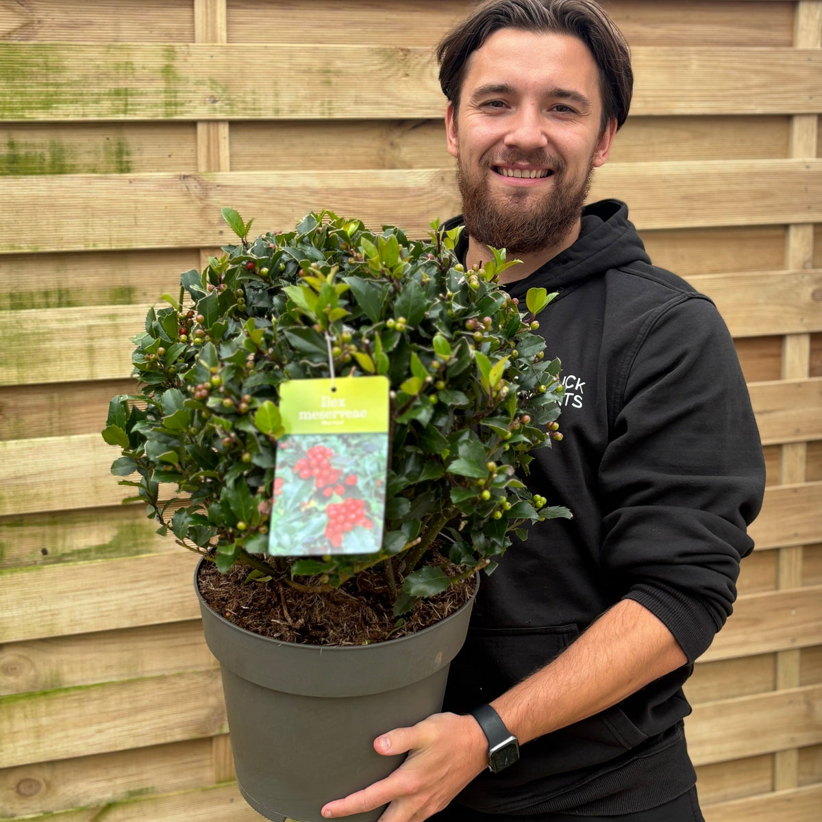 Man holding a potted plant with a wooden fence background