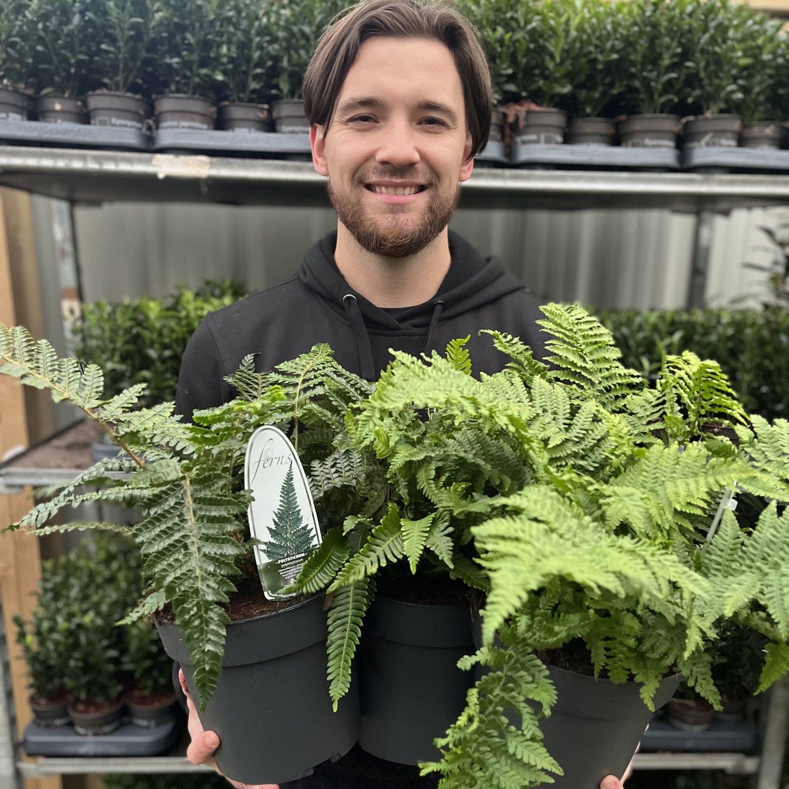 A smiling man with brown hair and a beard holds a Mix of 3 Ferns 11cm / 2L / 3L—ideal low-maintenance, shade-loving plants—standing before rows of greenery at a garden center.