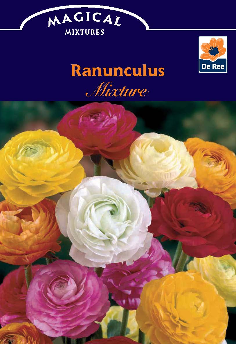 A De Ree Ranunculus (10 Mixed Bulbs) pack features vibrant Persian Buttercup flowers in red, yellow, white, pink, and orange—ideal as cut flowers and grown from premium mixed bulbs.