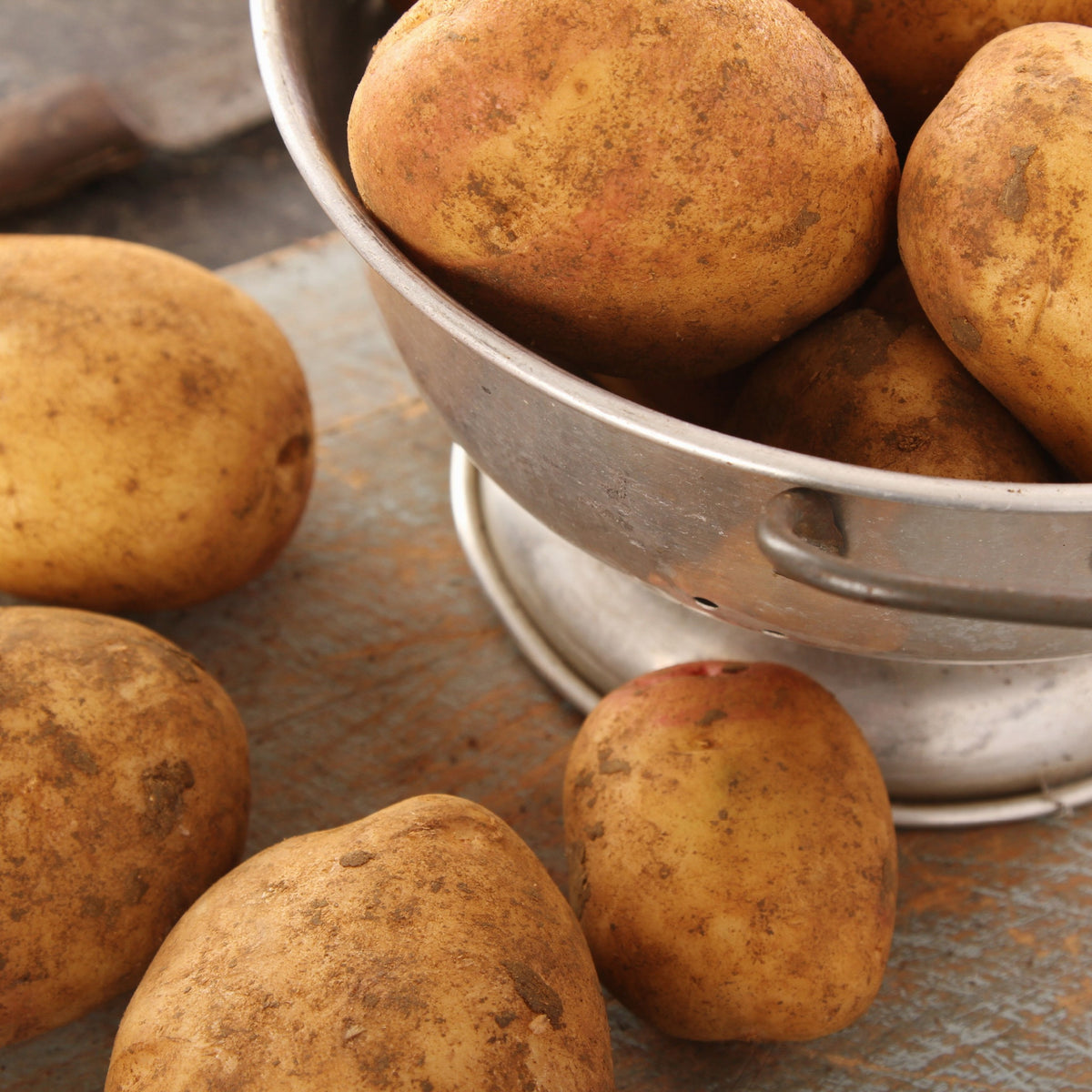 King Edward Seed Potatoes 2KG, freshly dug and earthy with soil on their skins, are shown scattered on a rustic wooden surface and piled in a metal colander—perfect for roasting or planting in your garden.