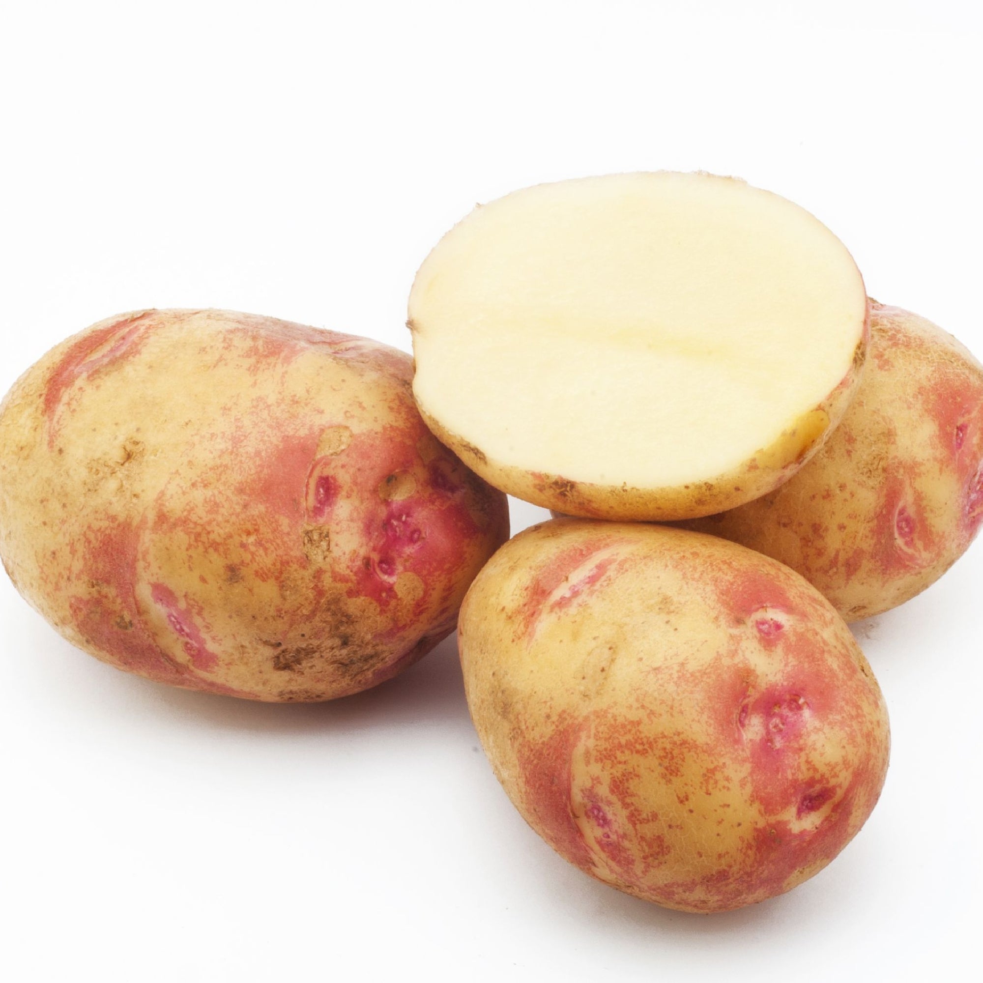 Picasso Seed Potatoes 2KG