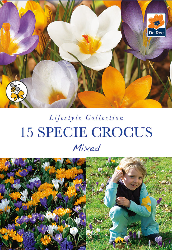 Specie Crocus Mixed (15 Bulbs) Pre order dispatch w/c 25/08