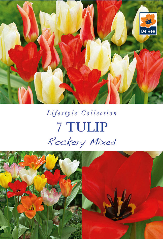 Tulip Dwarf Rockery Mixed Bulbs 7 Bulbs