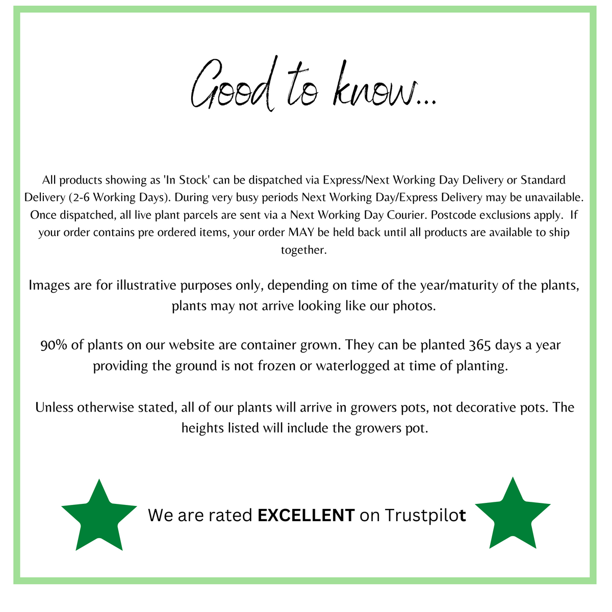 A white notice with a green border titled “Good to know...” shares delivery info, plant maturity, pot types, and Trustpilot praise for garden container bulbs like Dwarf Daffodil Bulbs Mixed (20 Bulbs). Two green stars frame the Trustpilot reviews.