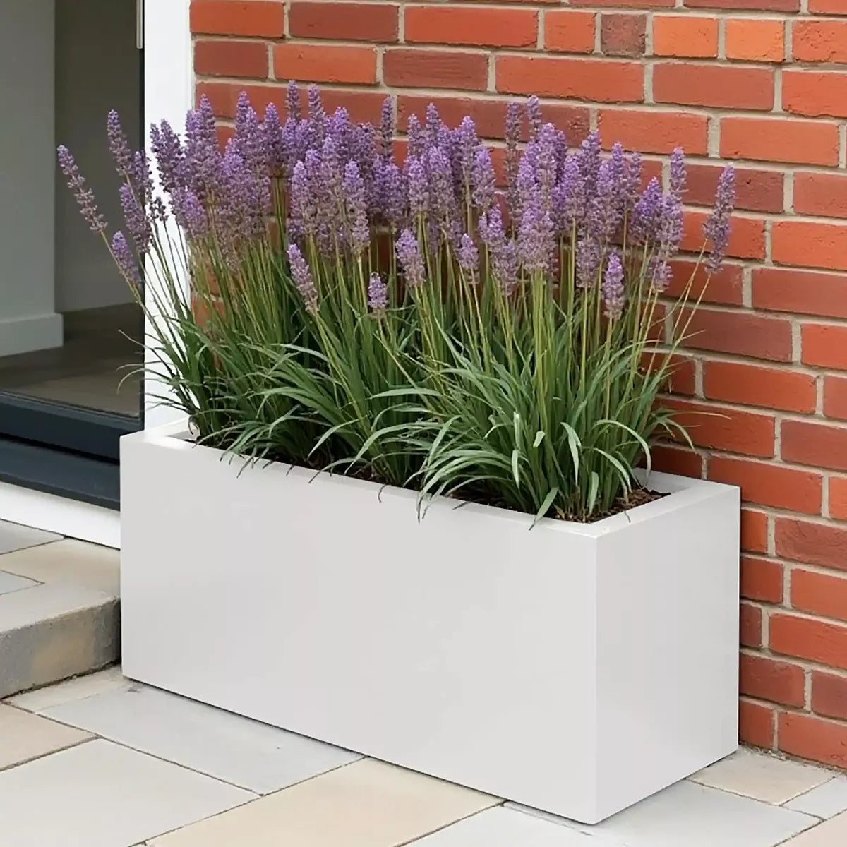 An IDEALIST Lite Contemporary Trough Garden Planter (light concrete, H30 L65 W19 cm, 37L) with blooming lavender sits on a patio near a red brick wall and glass door.