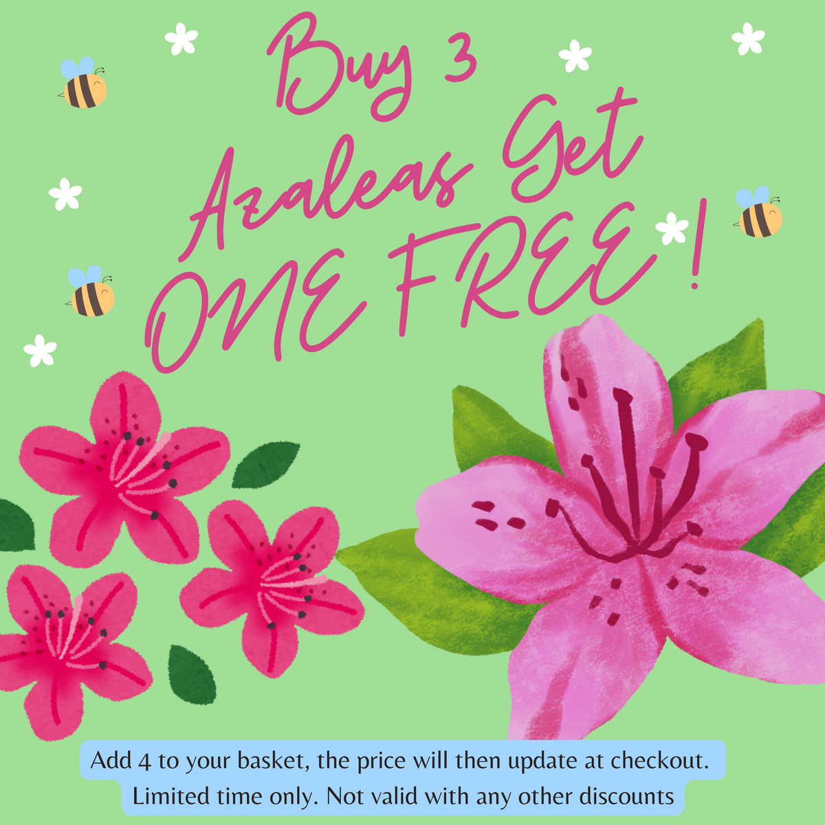 Green background with illustrated pink azaleas, leaves, and bees. Text: “Buy 3 Azalea &#39;Geisha Orange&#39; 1L-3L, Get ONE FREE!” Add 4 to basket—price updates at checkout. Limited time only; not valid with other discounts. Perfect for vibrant gardens!.