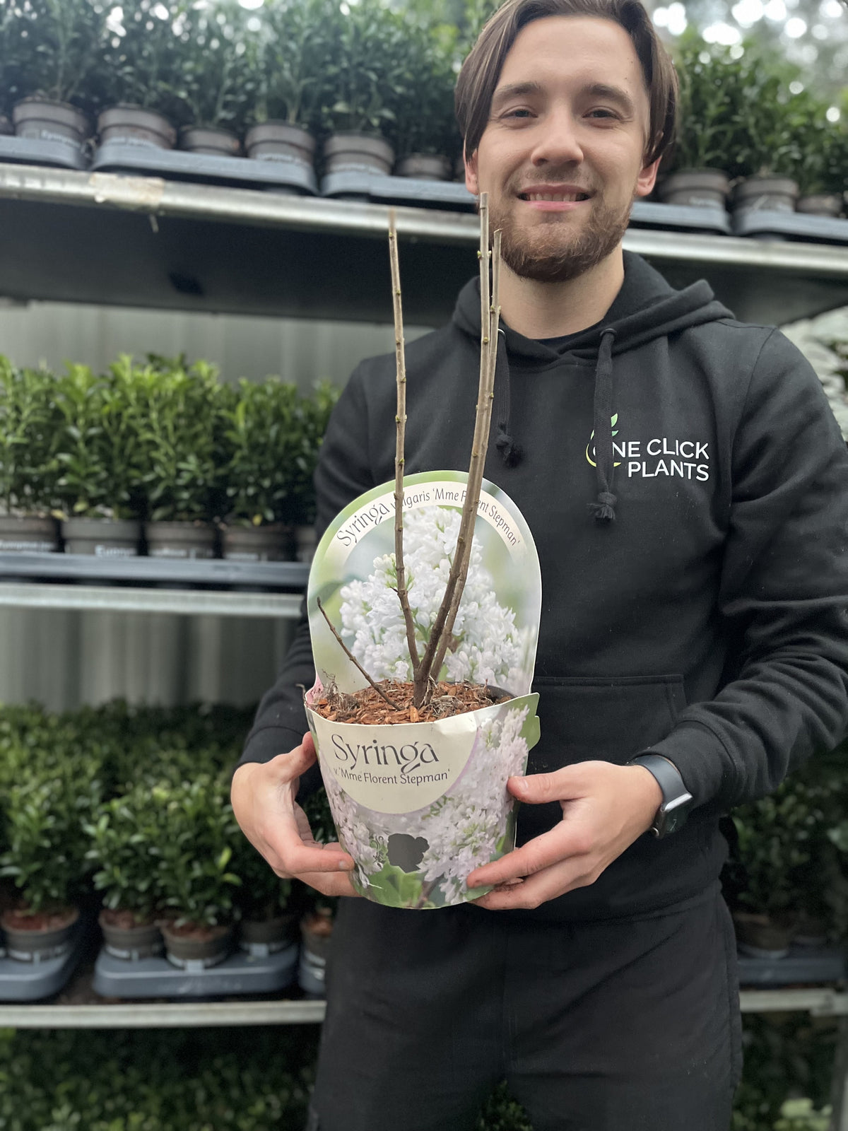 A person in a black hoodie smiles while holding a Syringa vulgaris Florent Stepman 2L, a fragrant white lilac shrub, in front of plant shelves. The pot displays a photo label of its elegant blossoms.