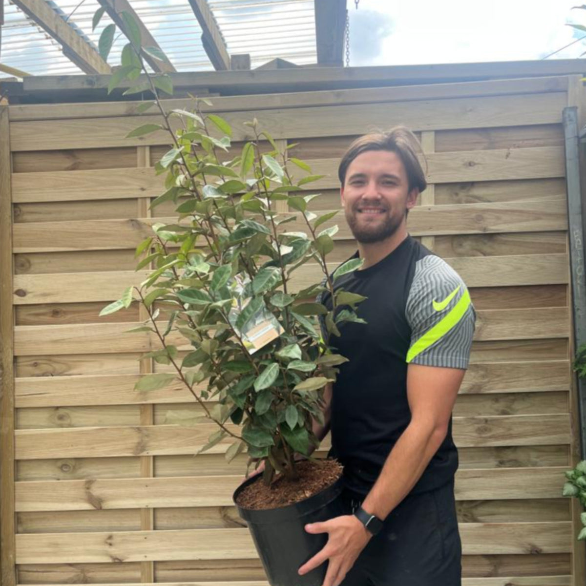 A smiling man in a black athletic shirt holds an Elaeagnus x ebbingei Compacta shrub with orange berries in front of a wooden fence on a sunny day. Multibuy offers available.