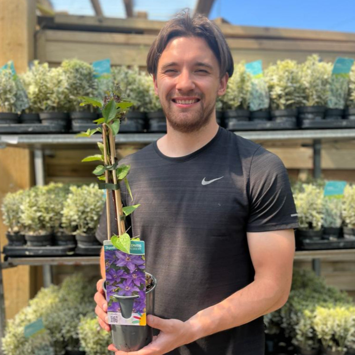 A smiling man in a black Nike t-shirt holds a Clematis &#39;The President&#39; 60cm with dark violet blooms at a garden center, surrounded by rows of large flowers and bright sunlight.