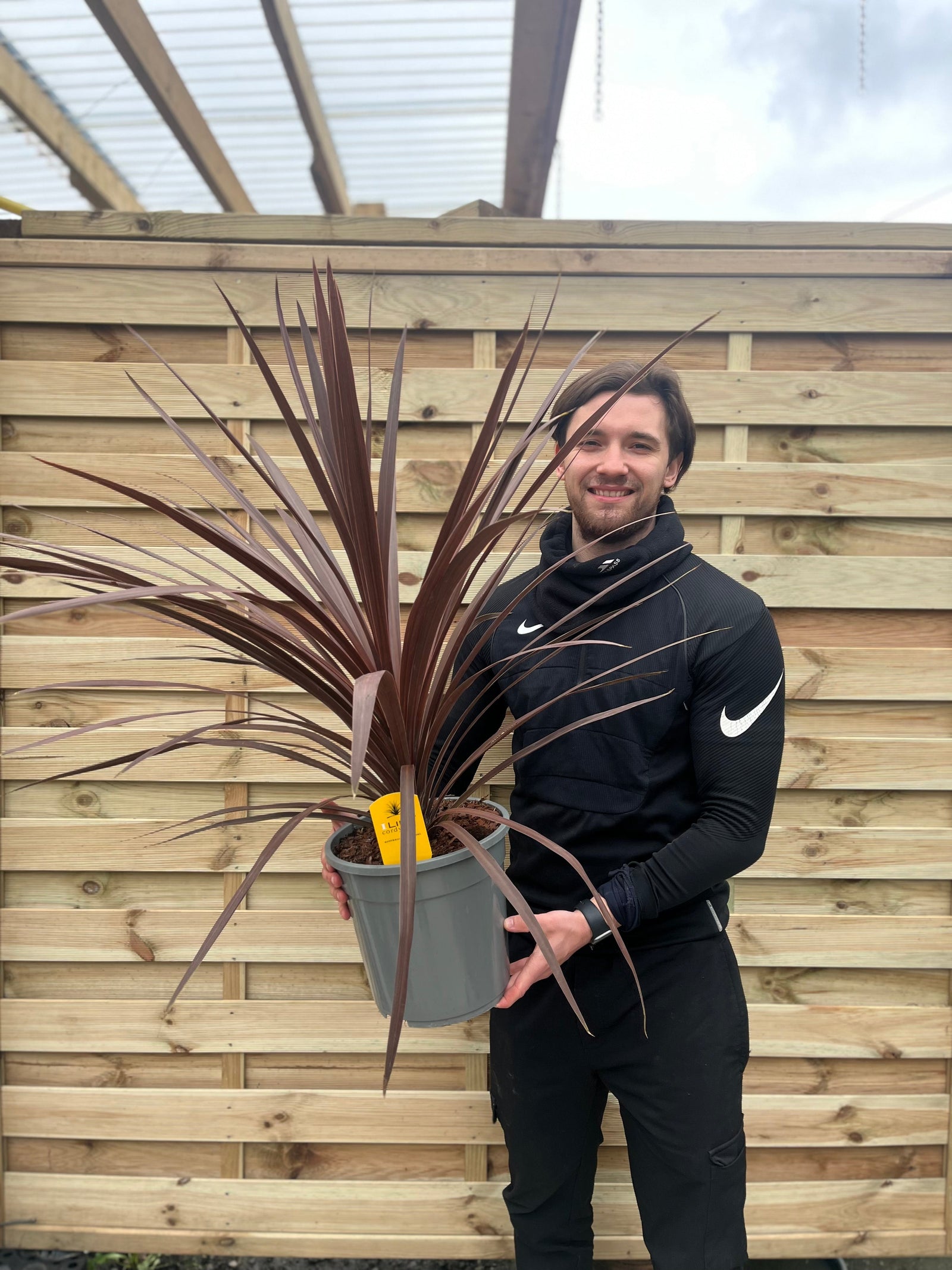 A man in a black Nike outfit stands in front of a wooden fence, smiling and holding a potted Cordyline australis Red Star (1m) with long, spiky dark red leaves.