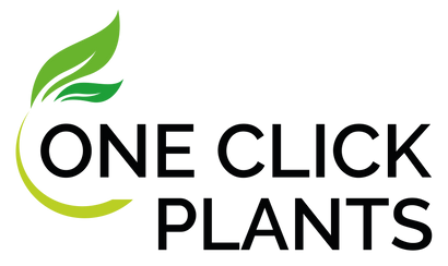 One Click Plants