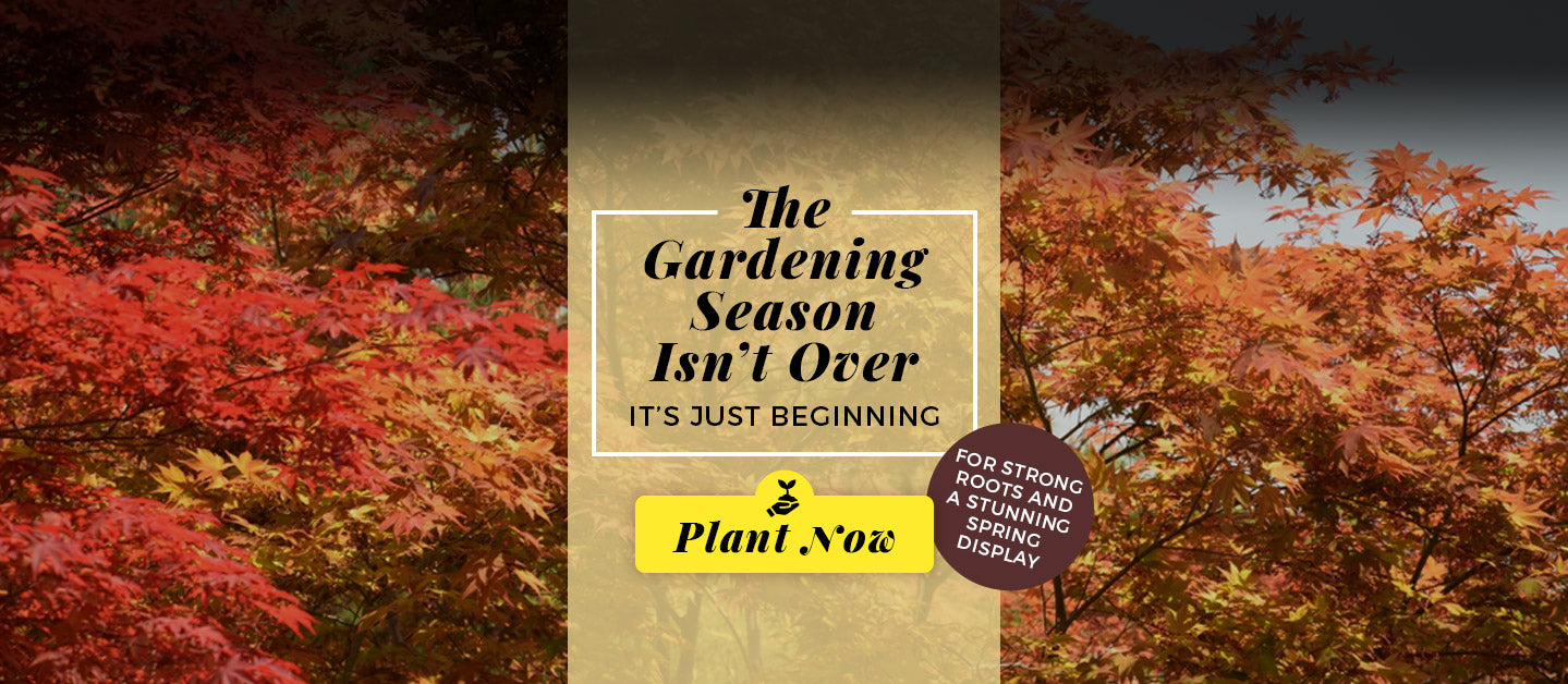 Autumnal scene with trees and a gardening season promotion message.